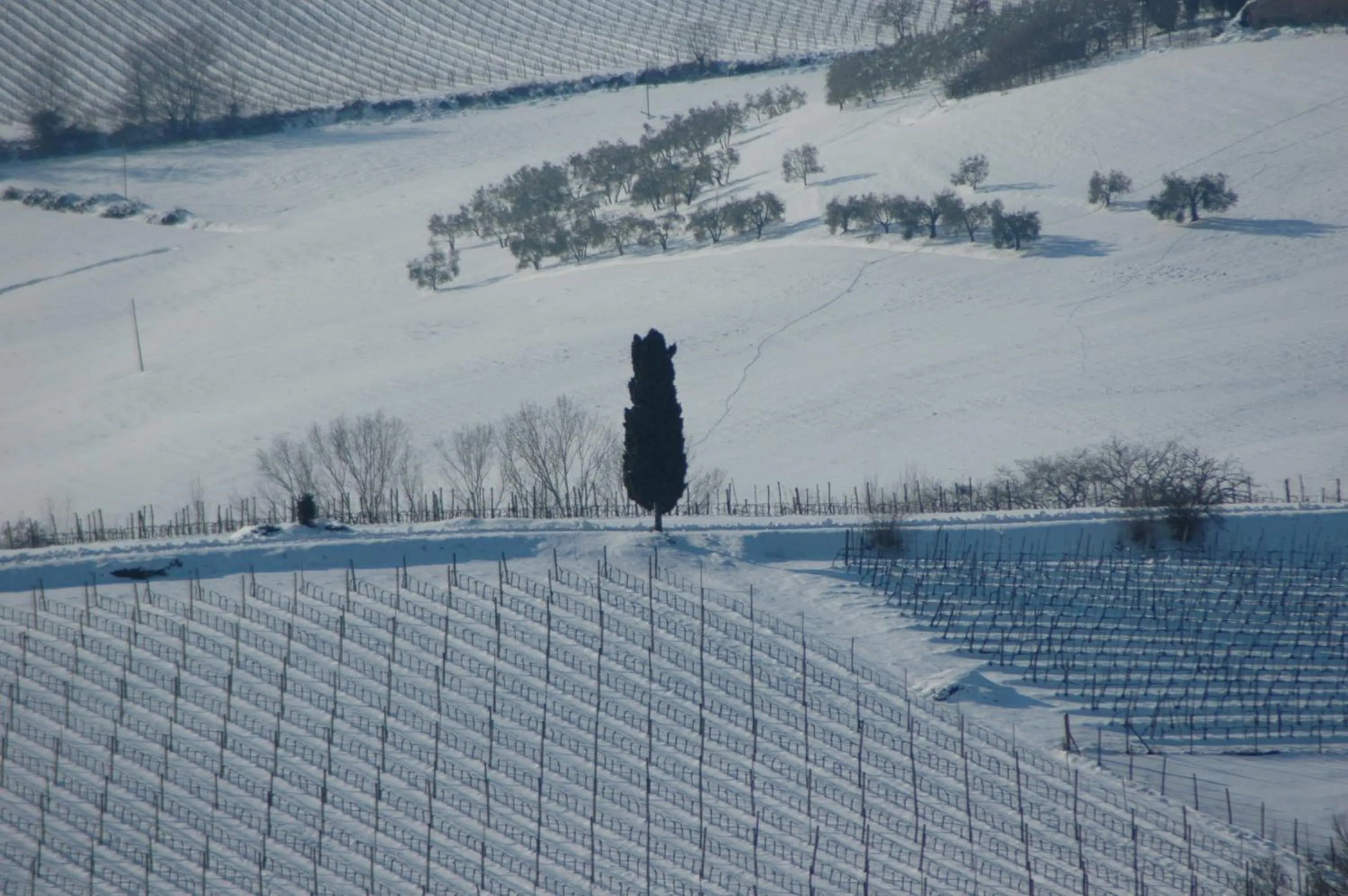 Winter in La Casa Delle Querce