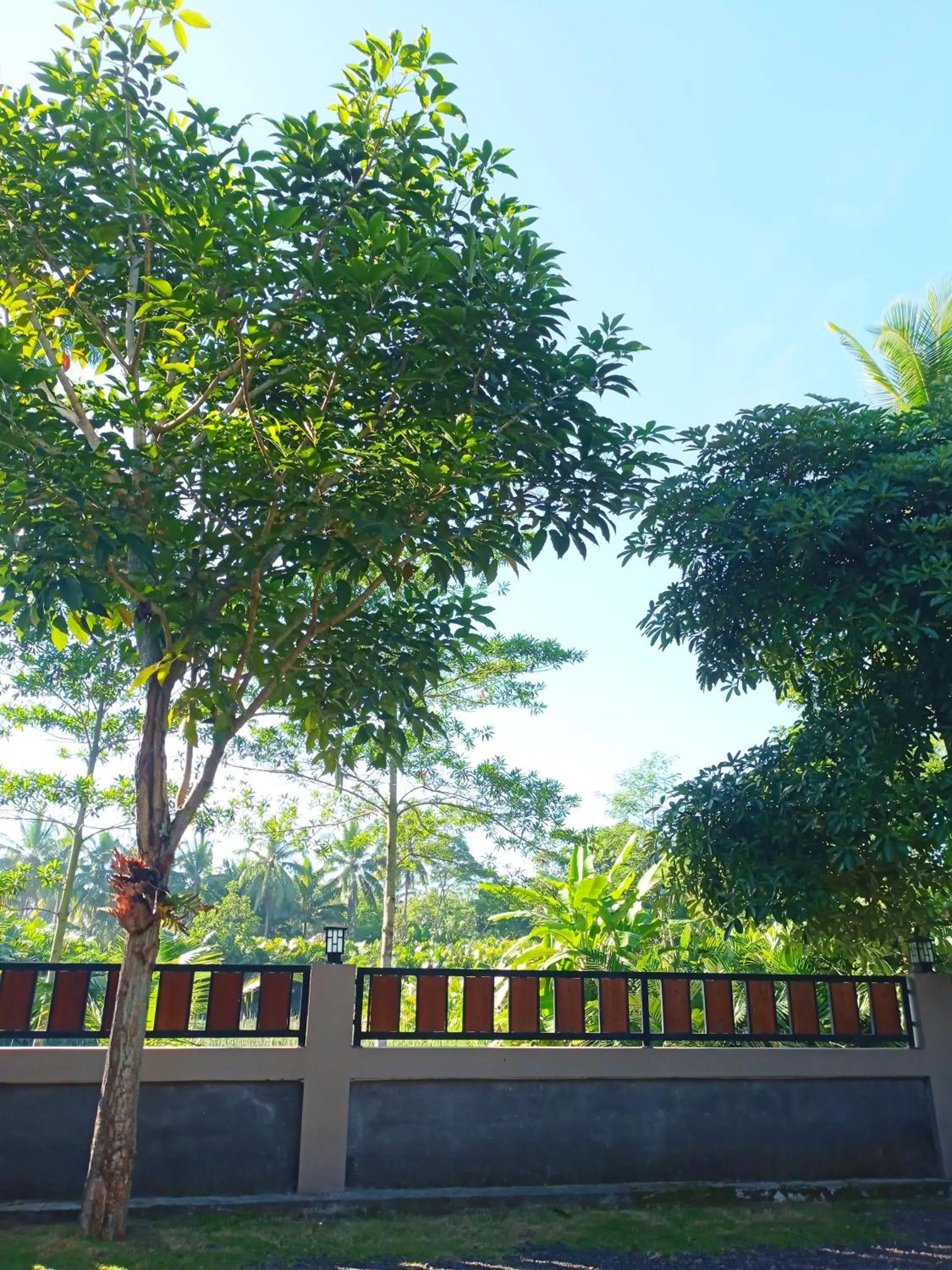 Angler Homestay & Joglo