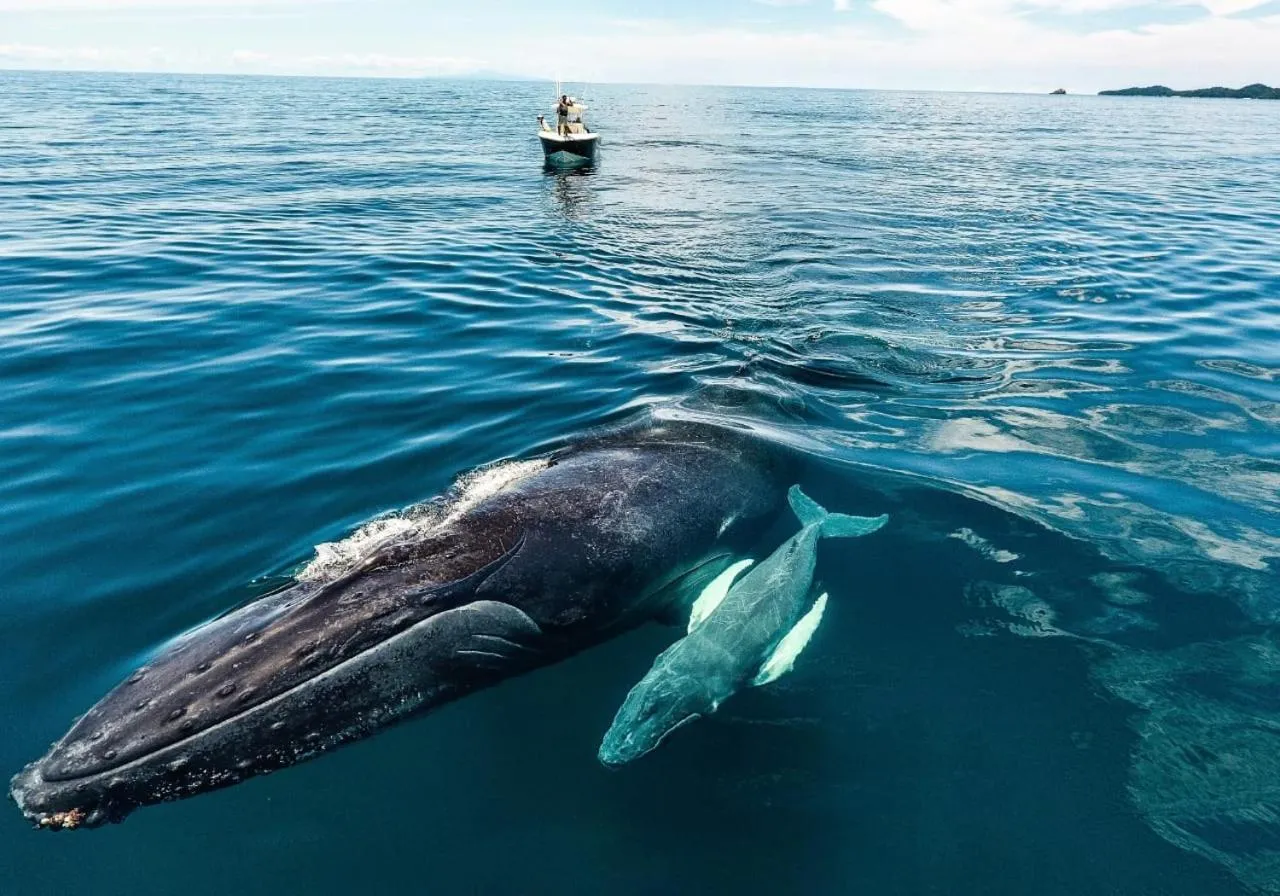 Casa del Sol Bed and Breakfast