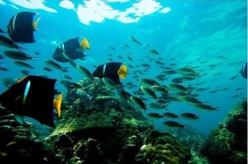 Diving in Casa del Sol Bed and Breakfast