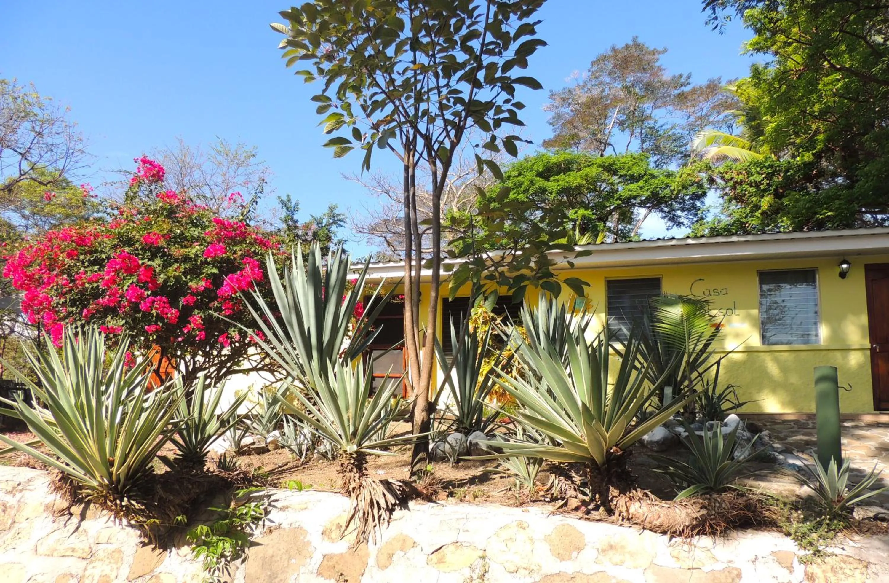 Casa del Sol Bed and Breakfast