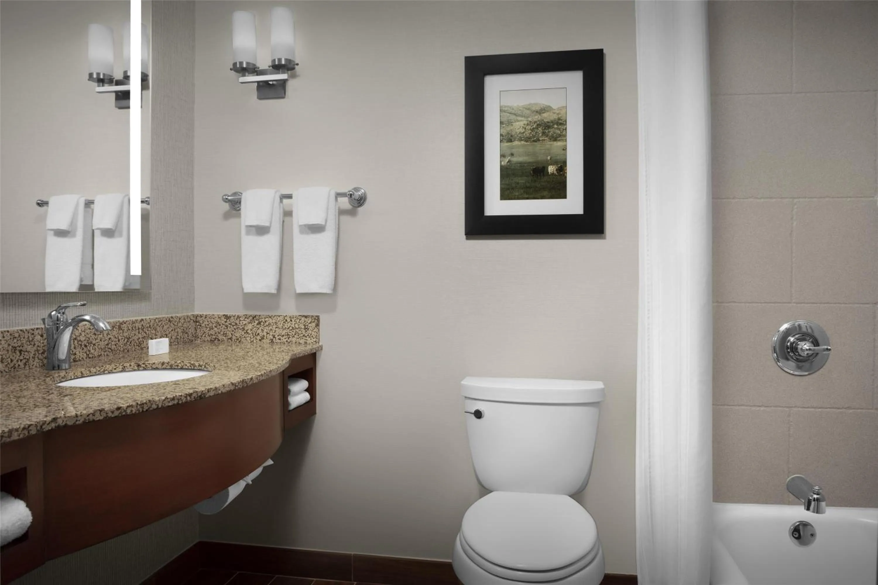 Bathroom in Hilton Garden Inn Oklahoma City/Bricktown