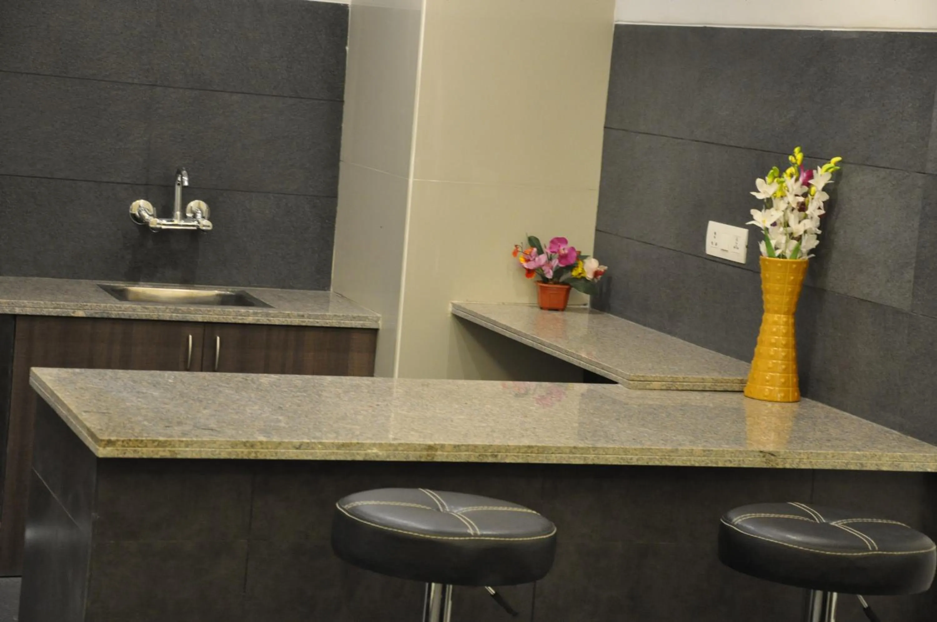 Kitchen or kitchenette in Pride Biznotel Manjusar Vadodara Near Sokhda Lake