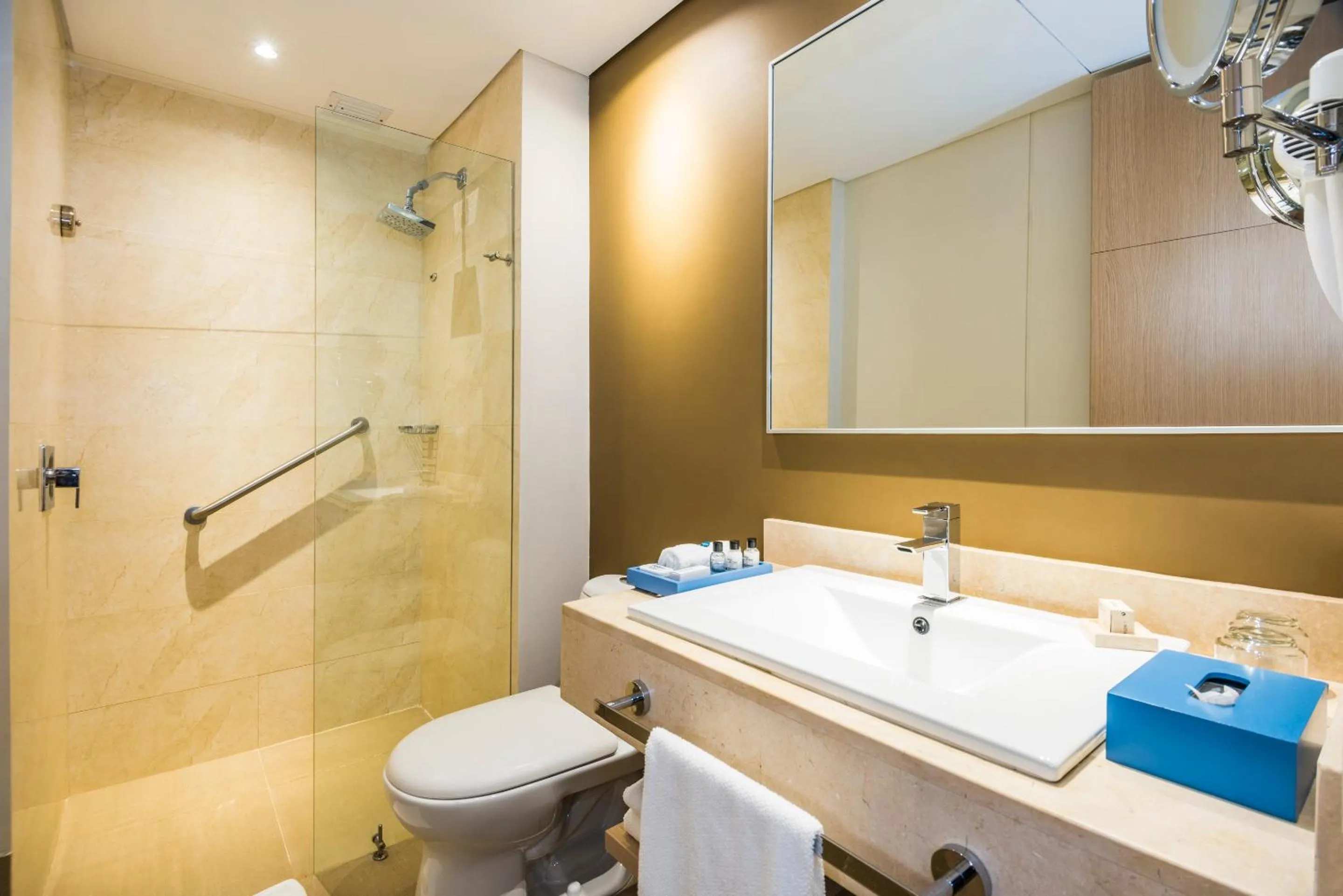 Toilet in Cosmos Pacifico Hotel