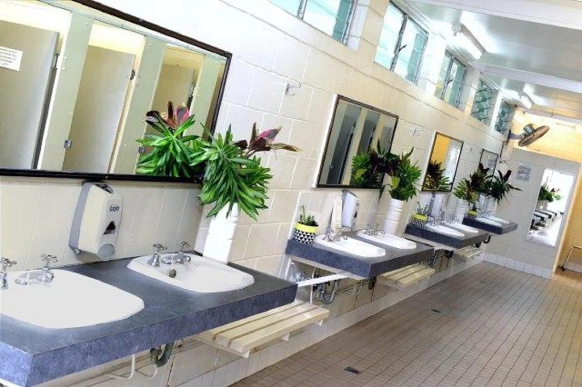 Property building in Coral Coast Tourist Park