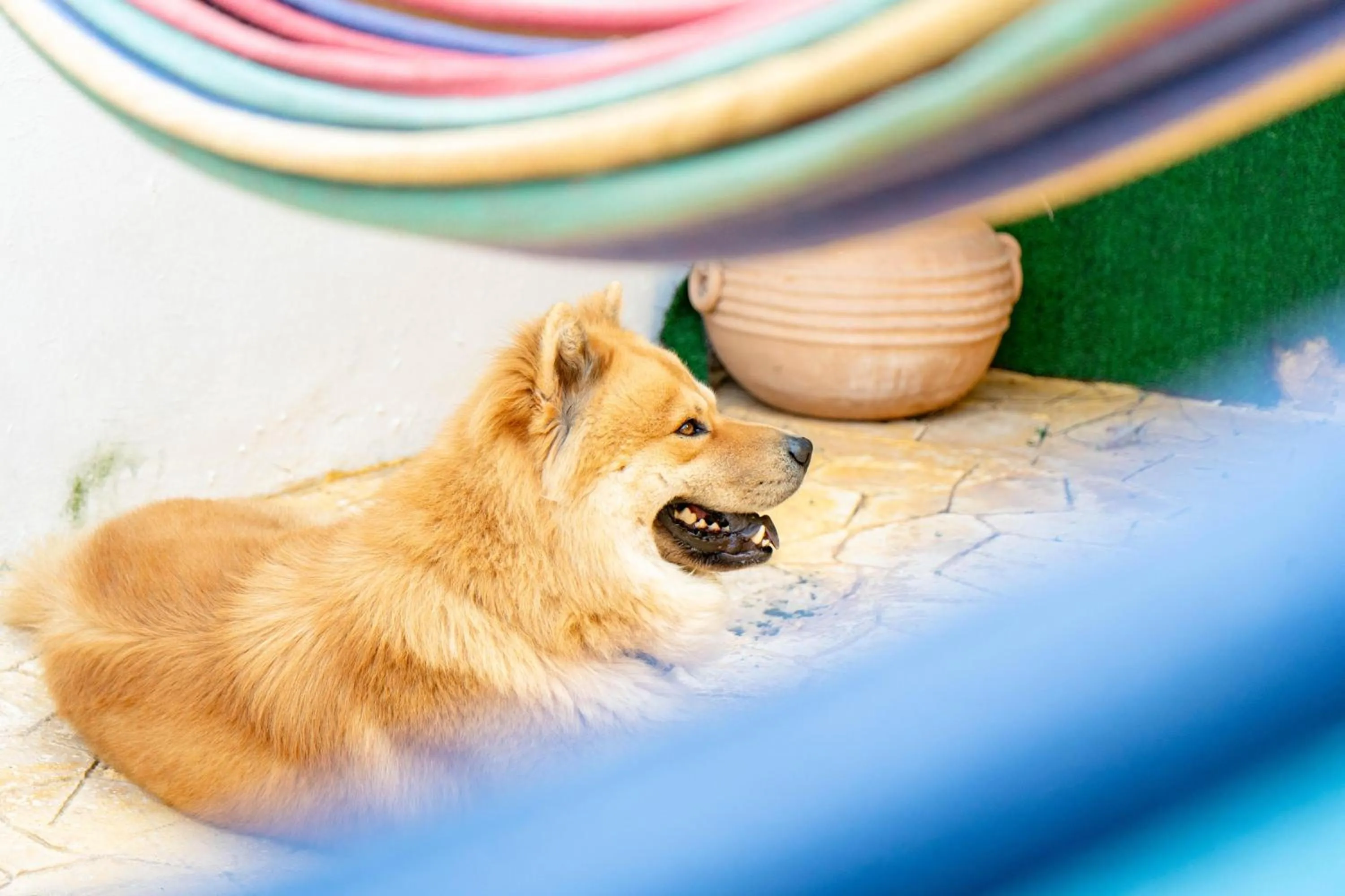 Property building in Buenosdías Izamal
