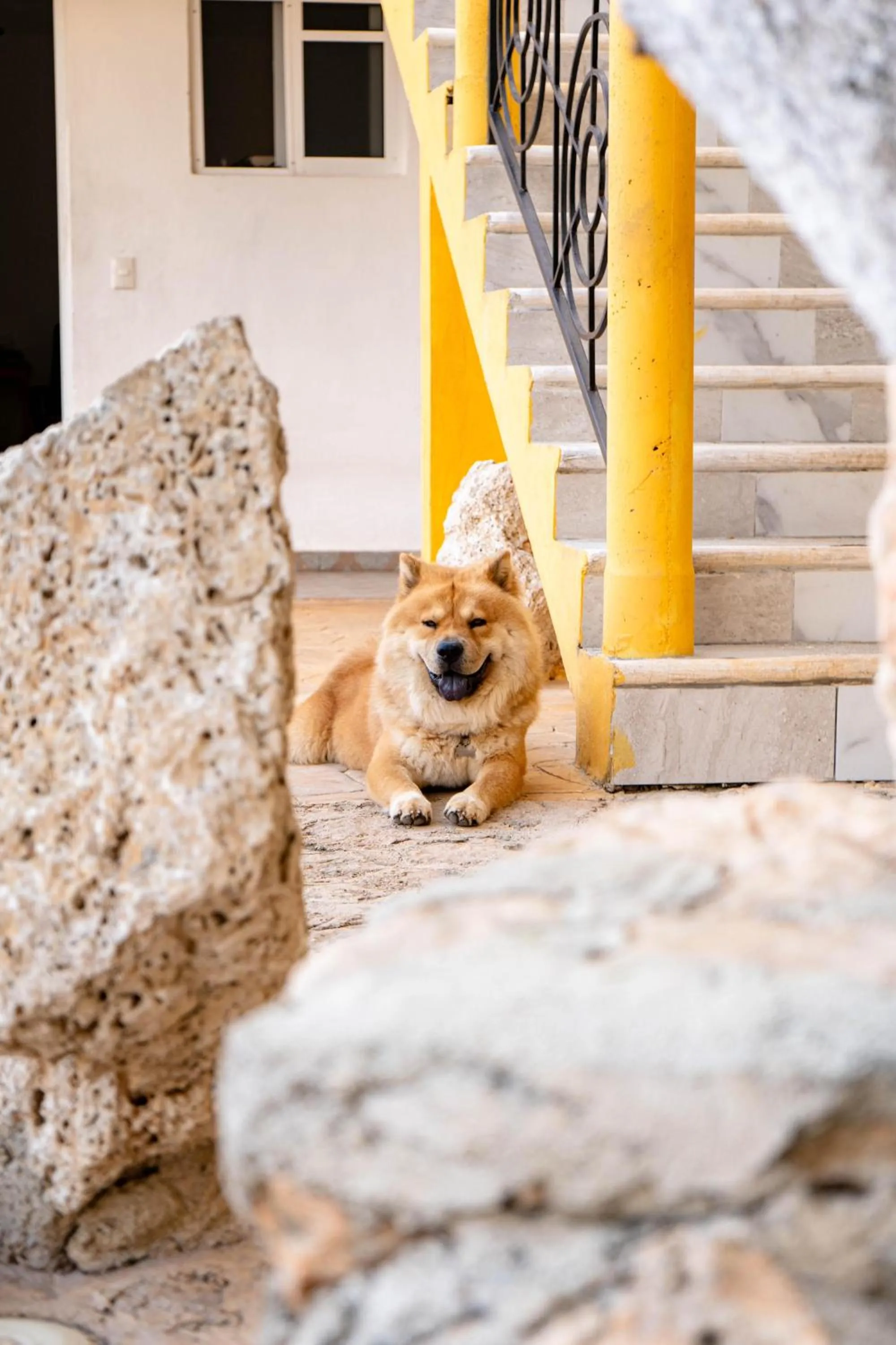 Property building in Buenosdías Izamal