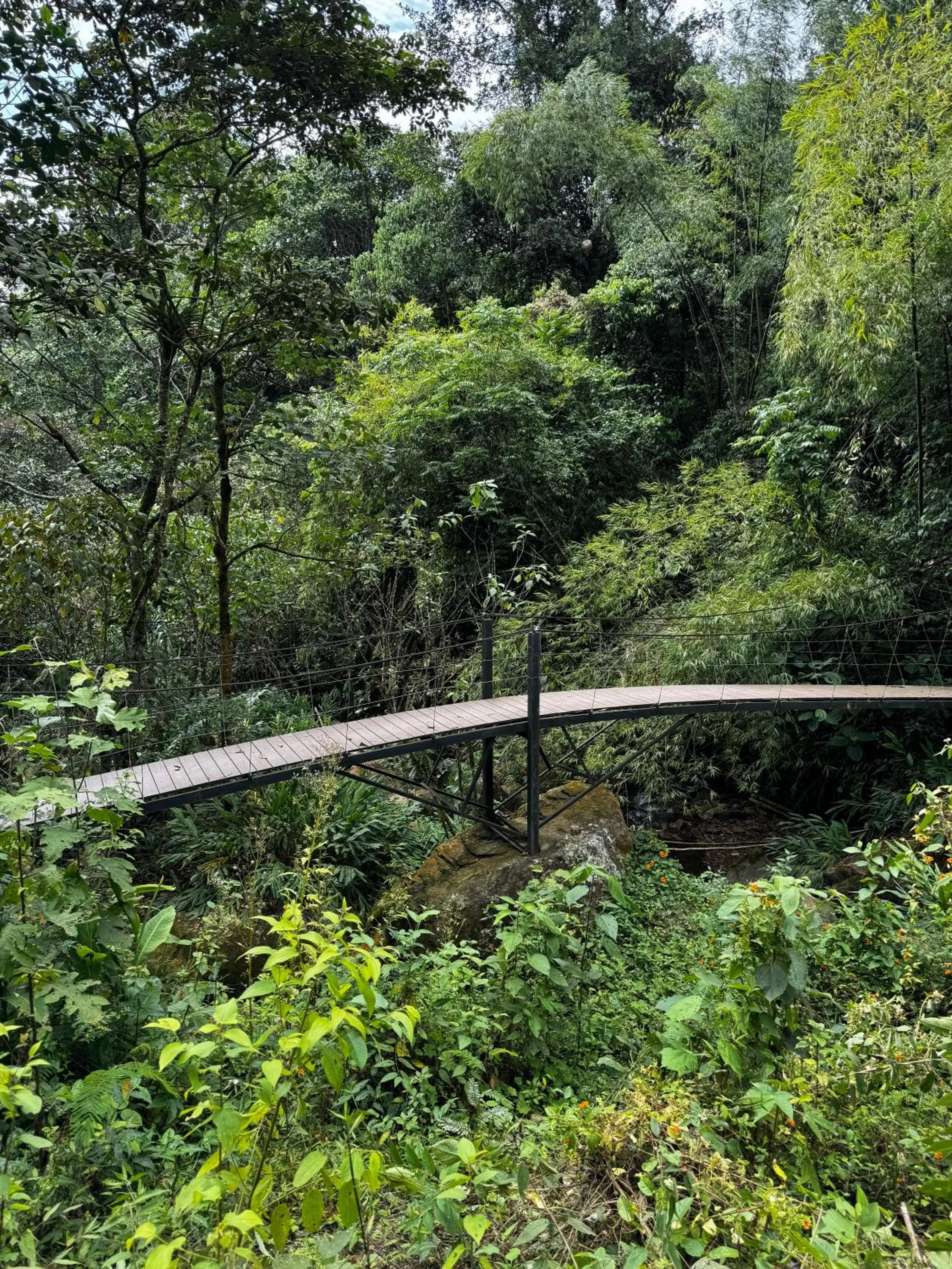 Natural landscape in Hotel La Palma y El Tucán - Café y Naturaleza