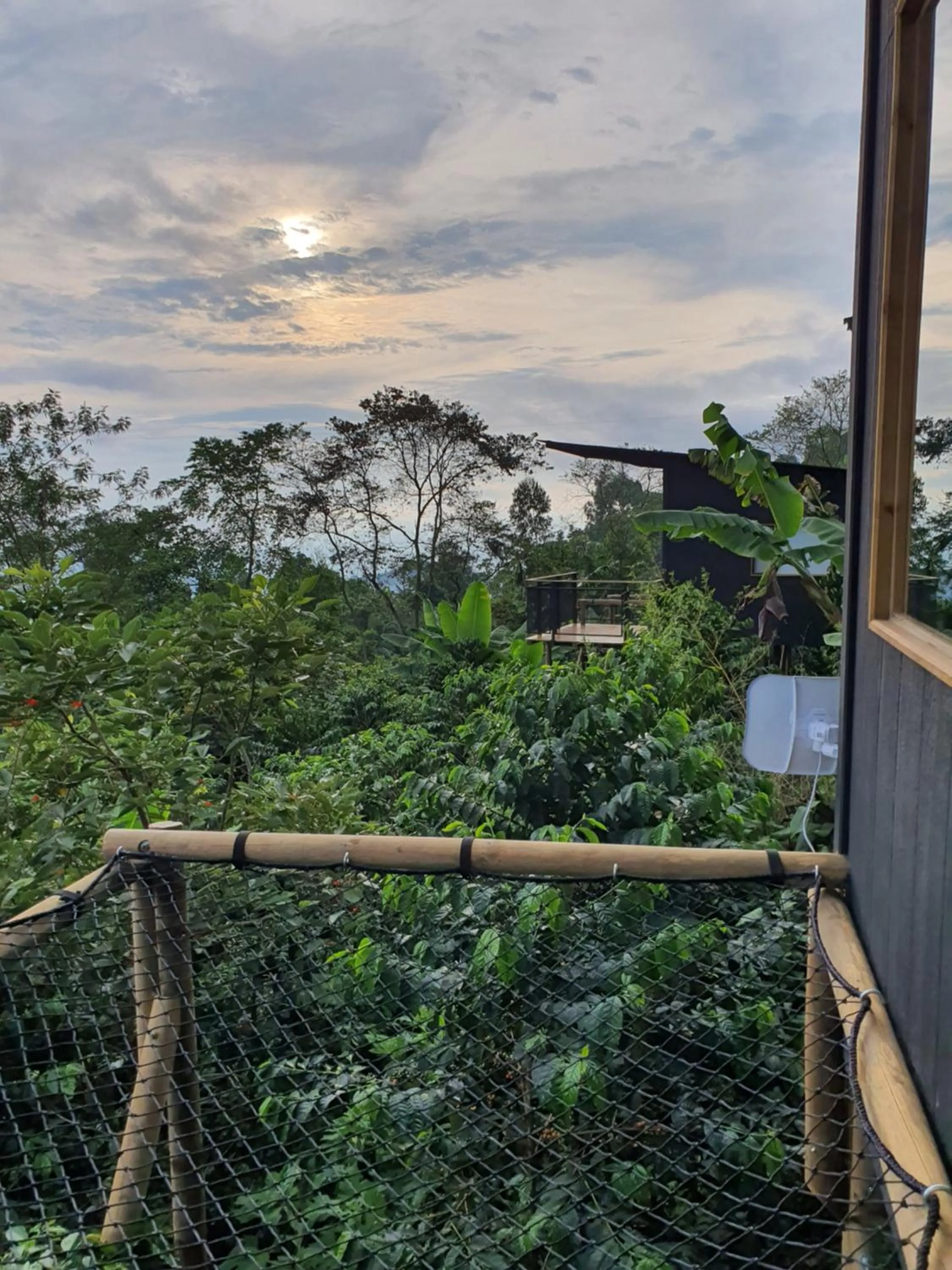 Balcony/Terrace in Hotel La Palma y El Tucán - Café y Naturaleza