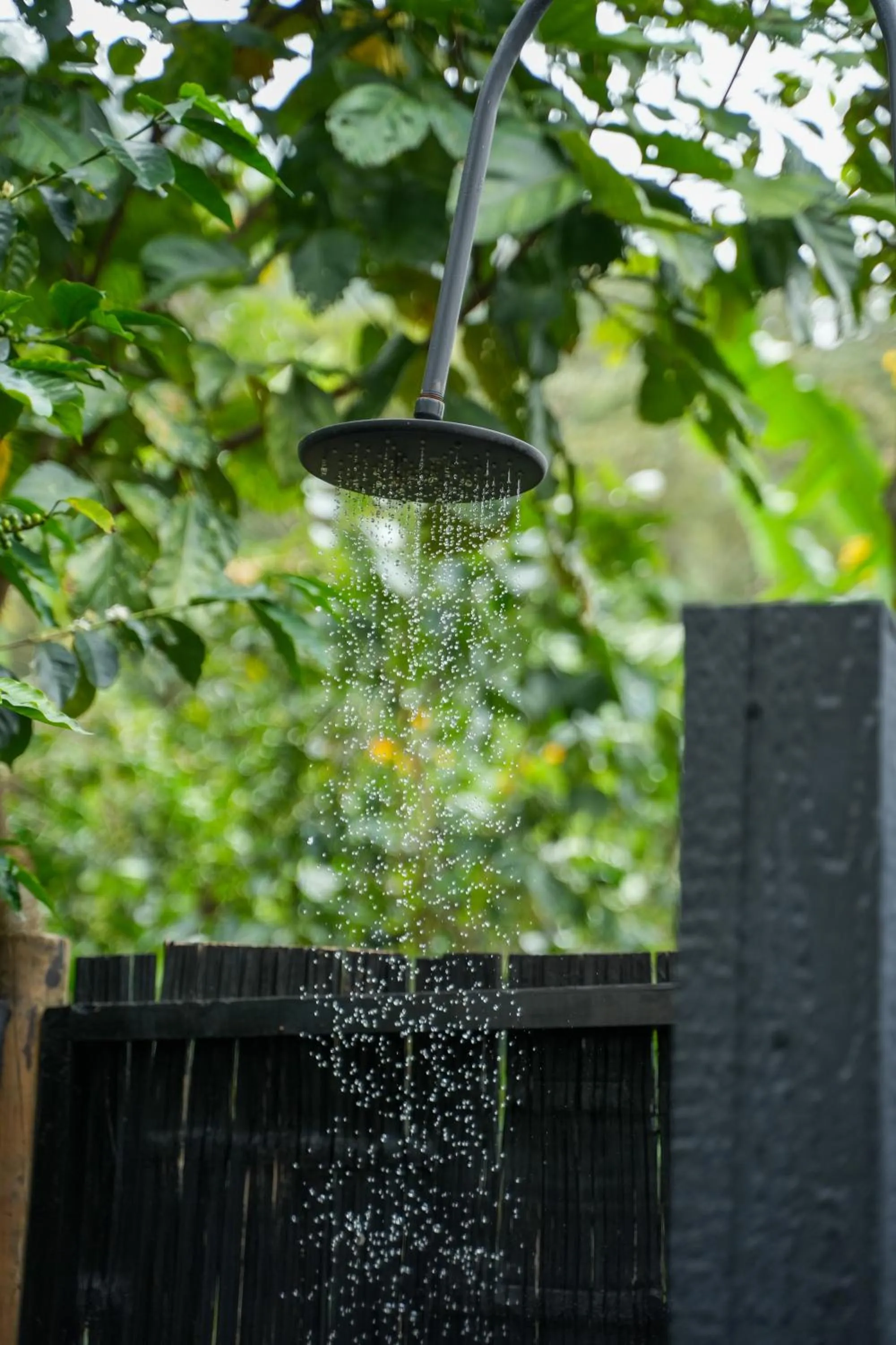 Shower in Hotel La Palma y El Tucán - Café y Naturaleza
