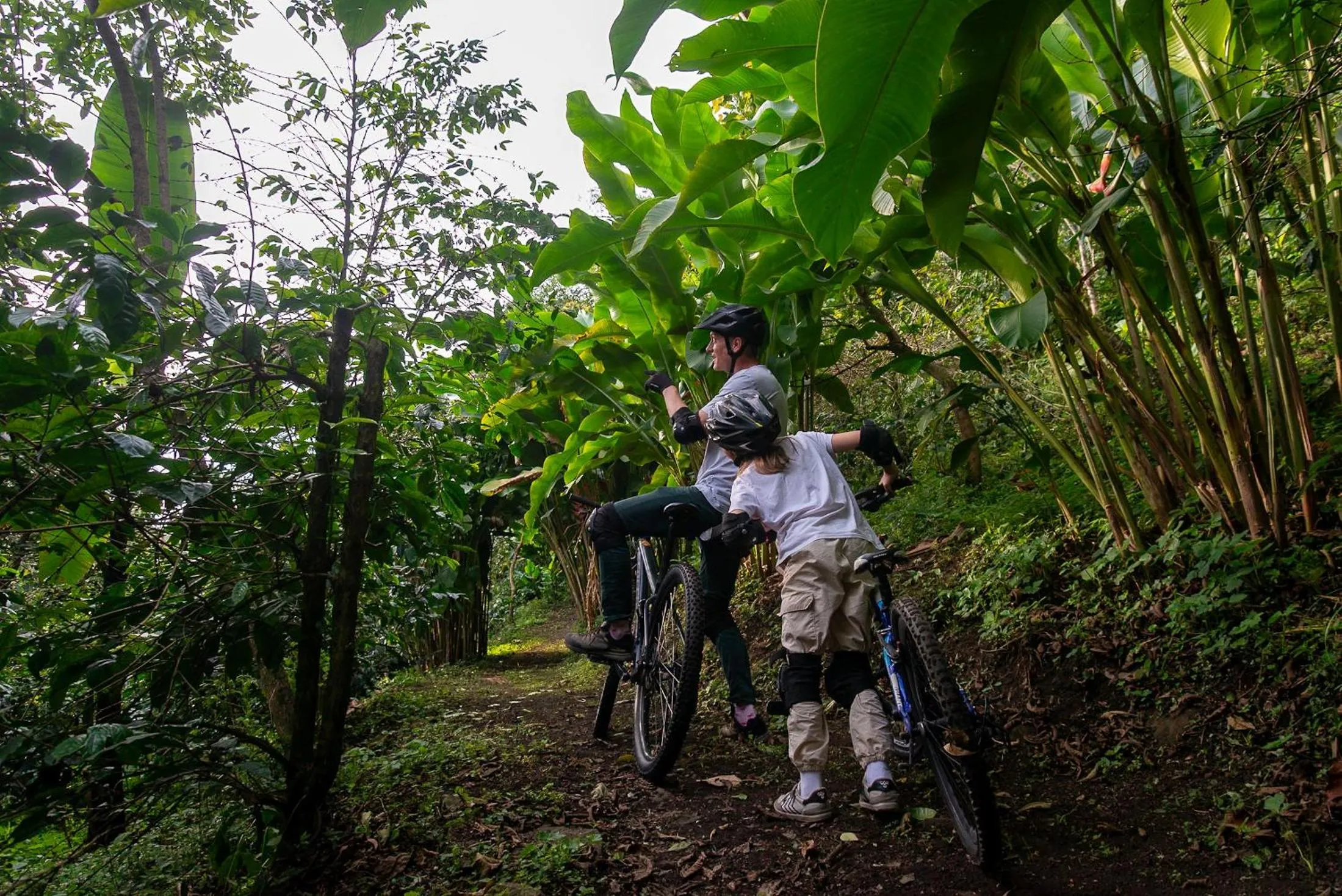 Hiking in Hotel La Palma y El Tucán - Café y Naturaleza