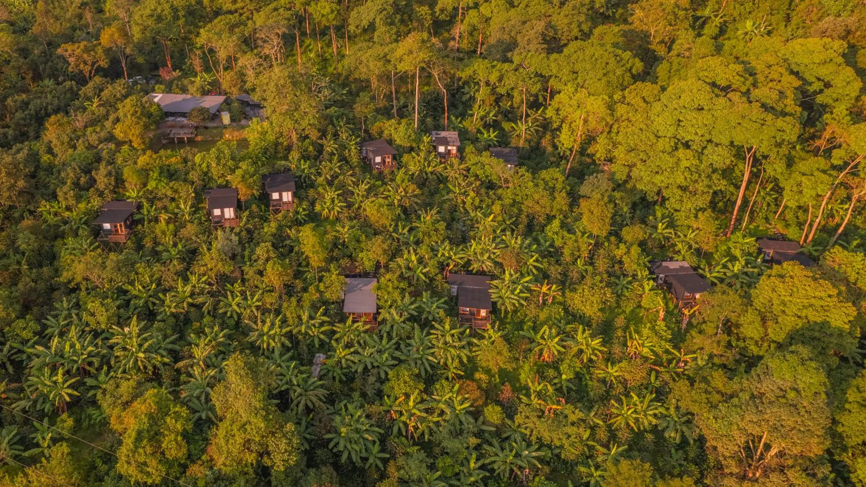Bird's eye view in Hotel La Palma y El Tucán - Café y Naturaleza