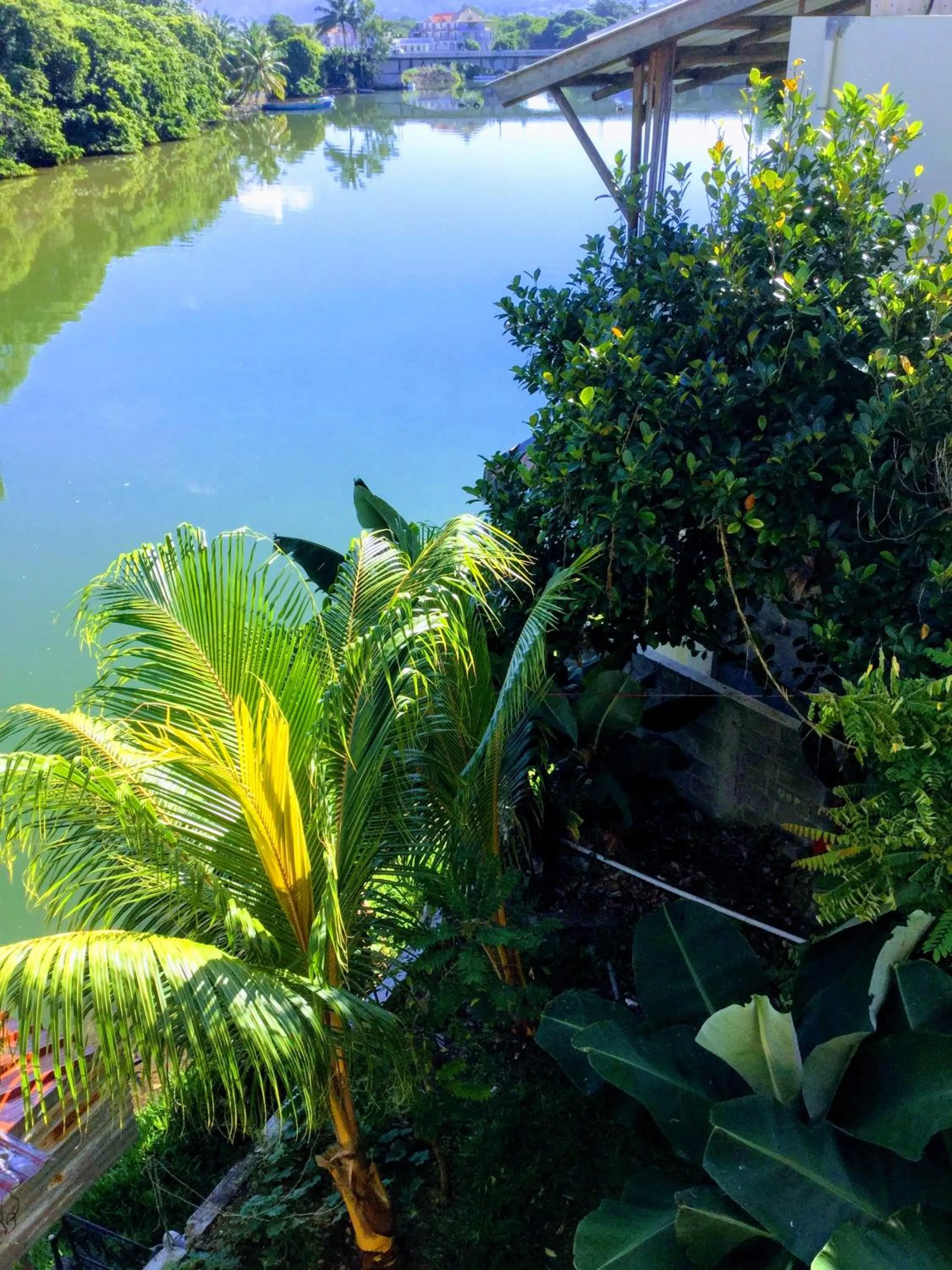 Le Bamboo Guesthouse