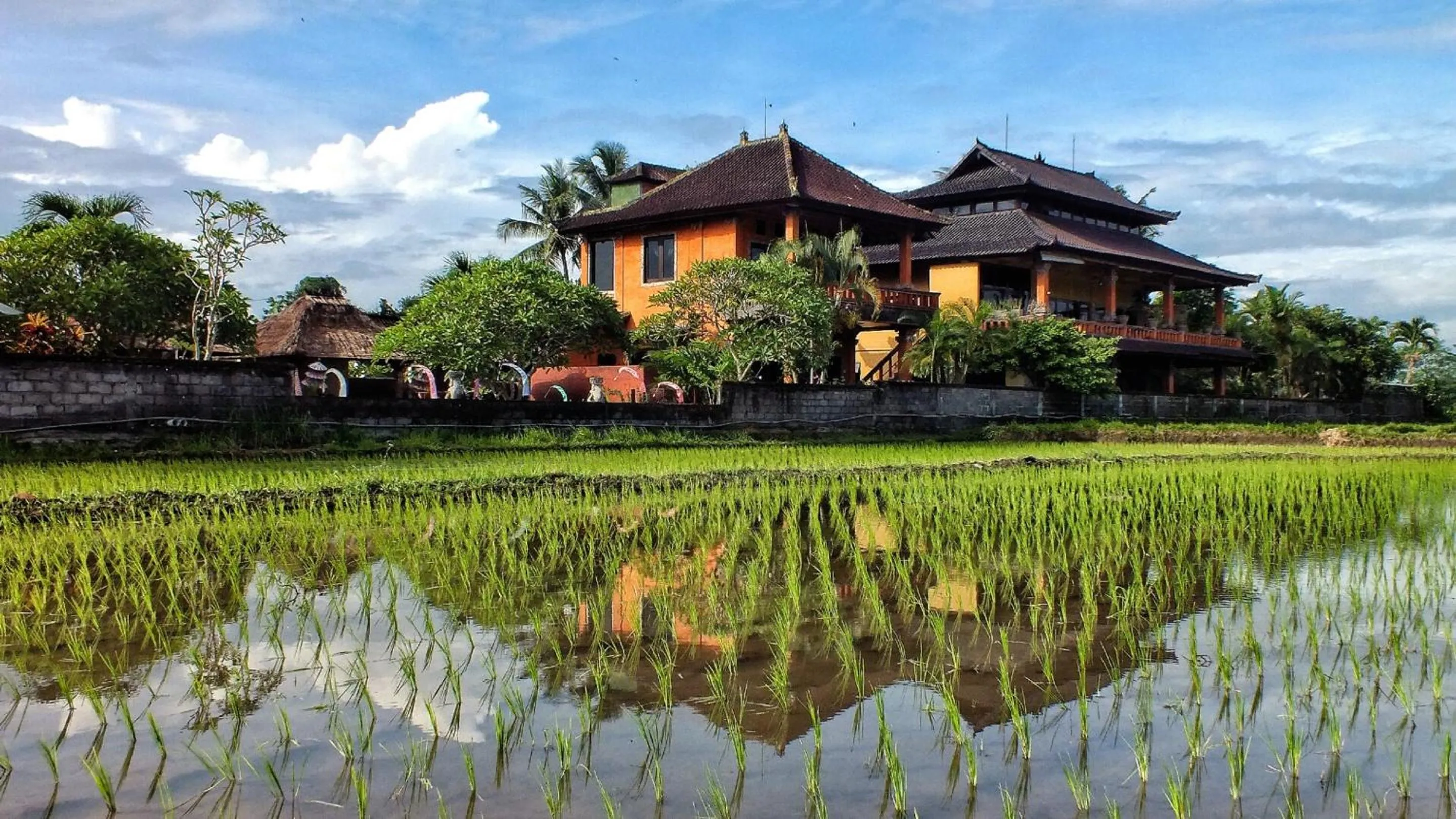 Property building in Mandala Desa