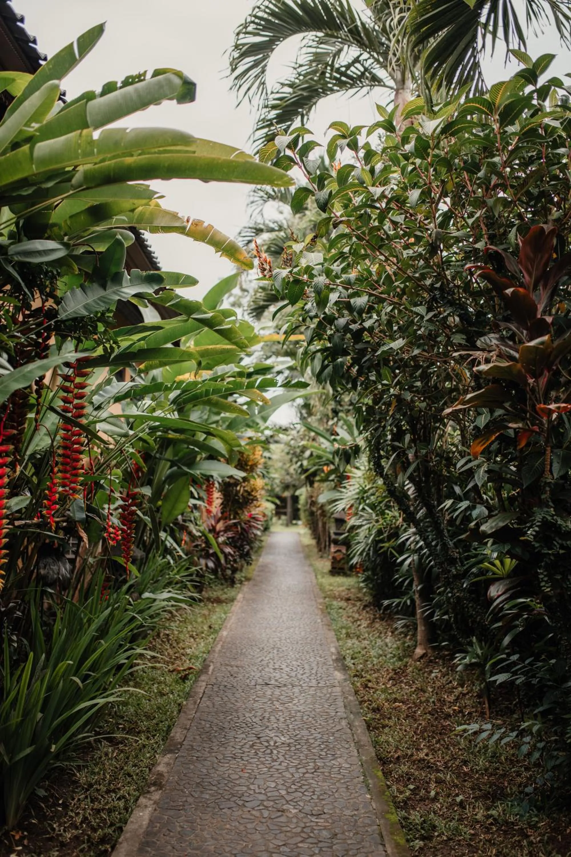 Garden in Mandala Desa