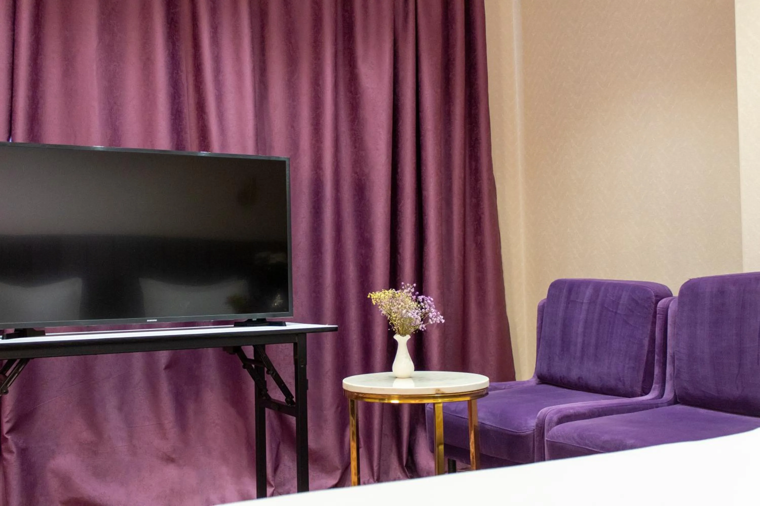 TV and multimedia in Orient Hotel Bishkek