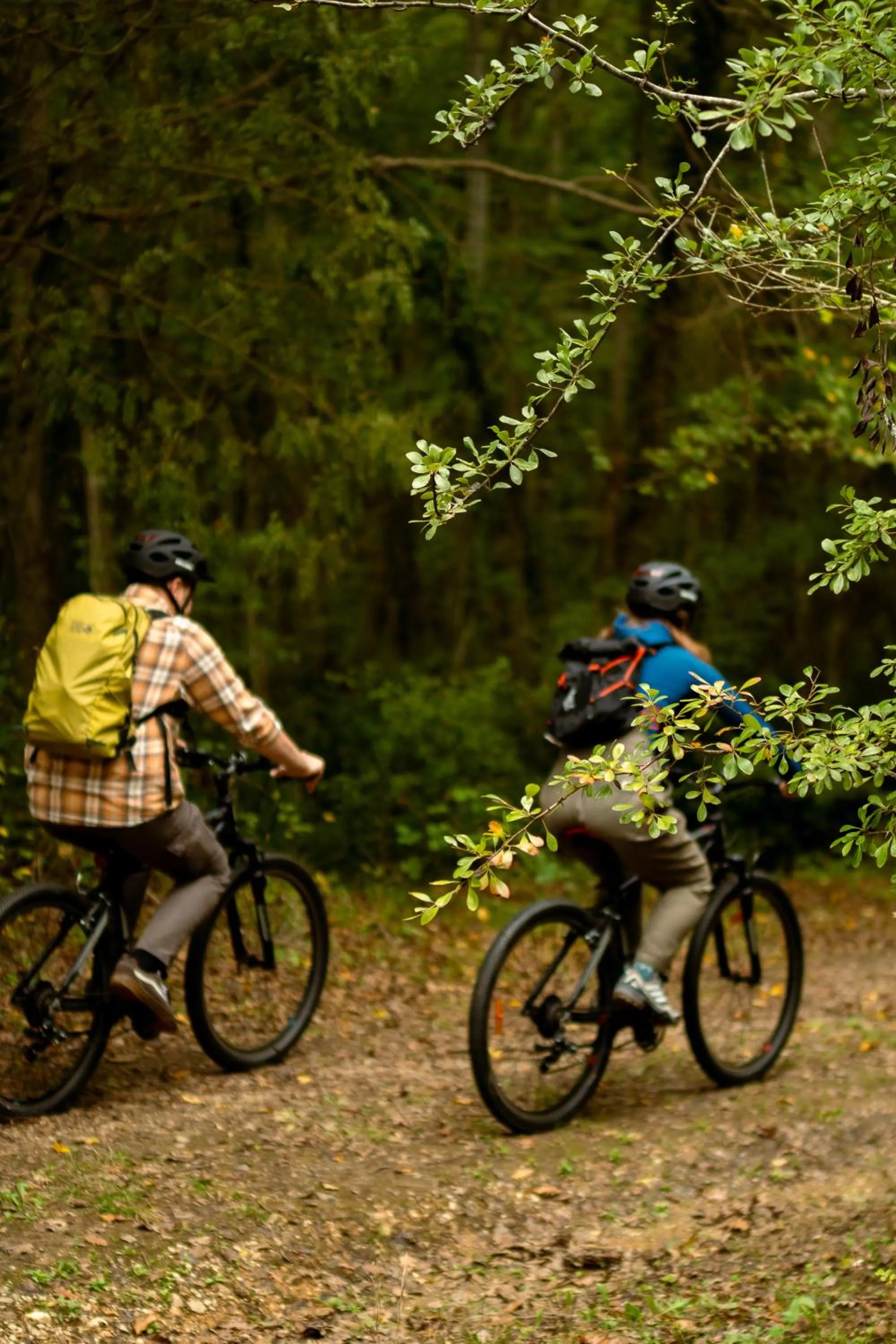 Cycling in İnemare Hotel
