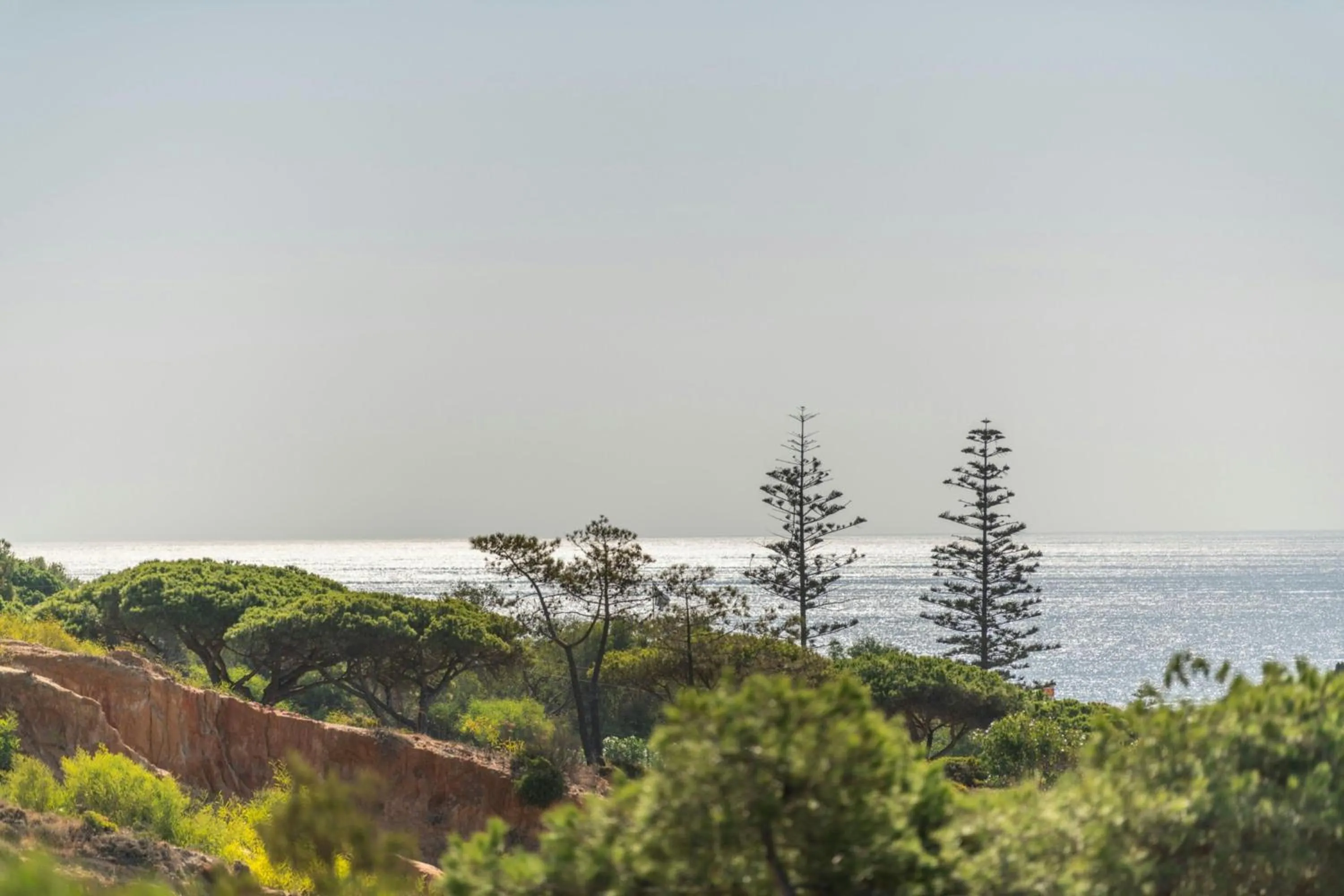 View (from property/room) in W Algarve