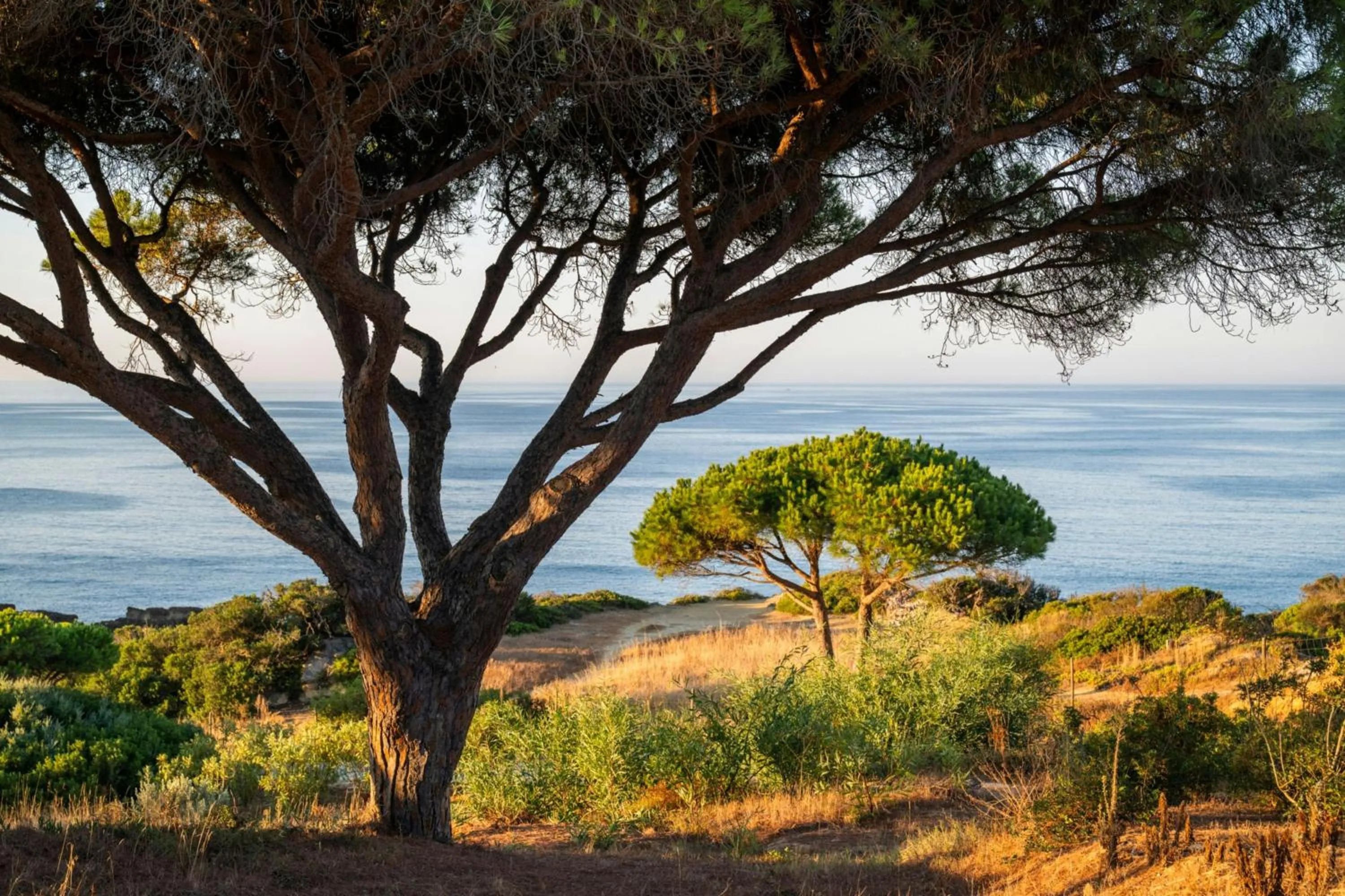 View (from property/room) in W Algarve