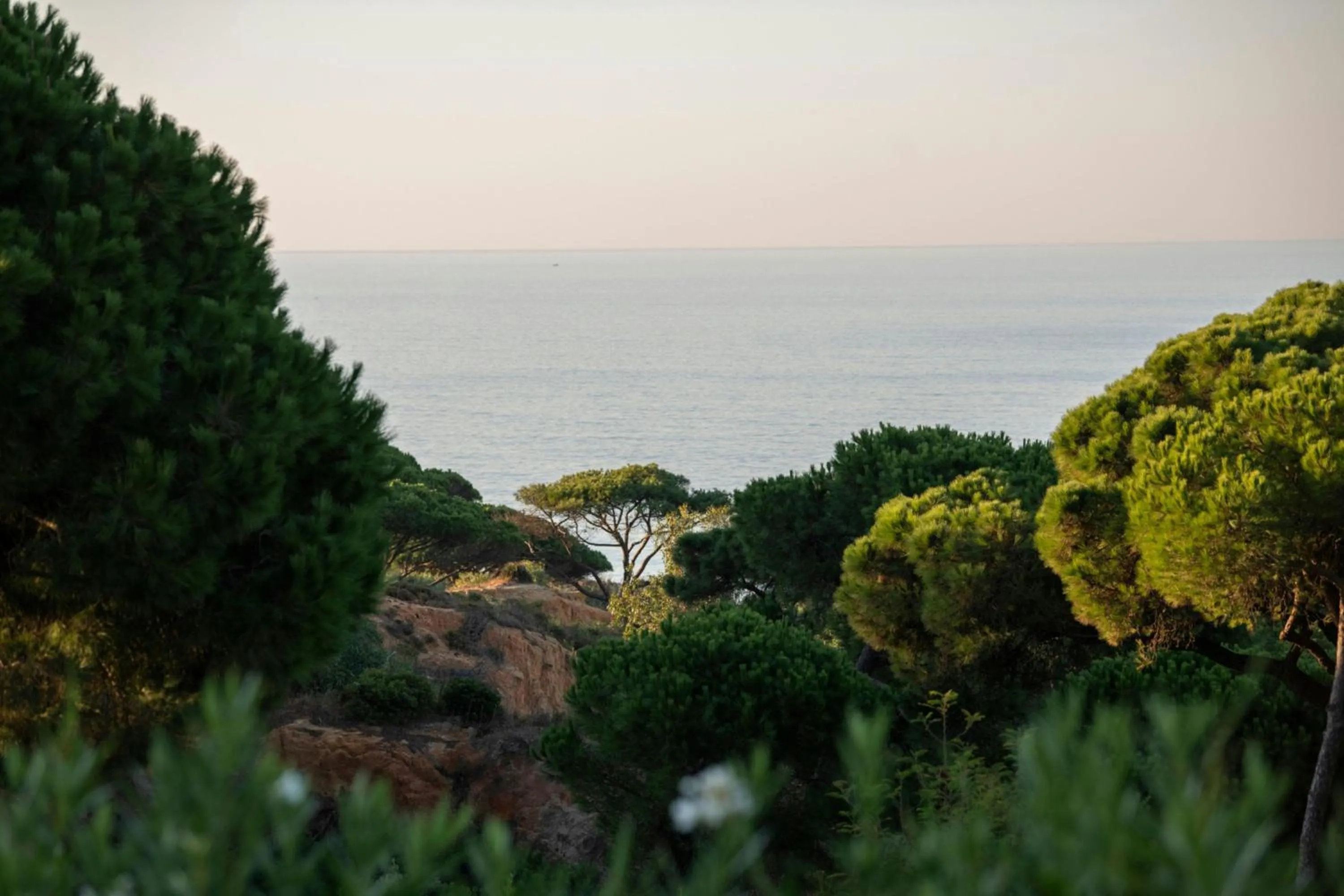 View (from property/room) in W Residences Algarve