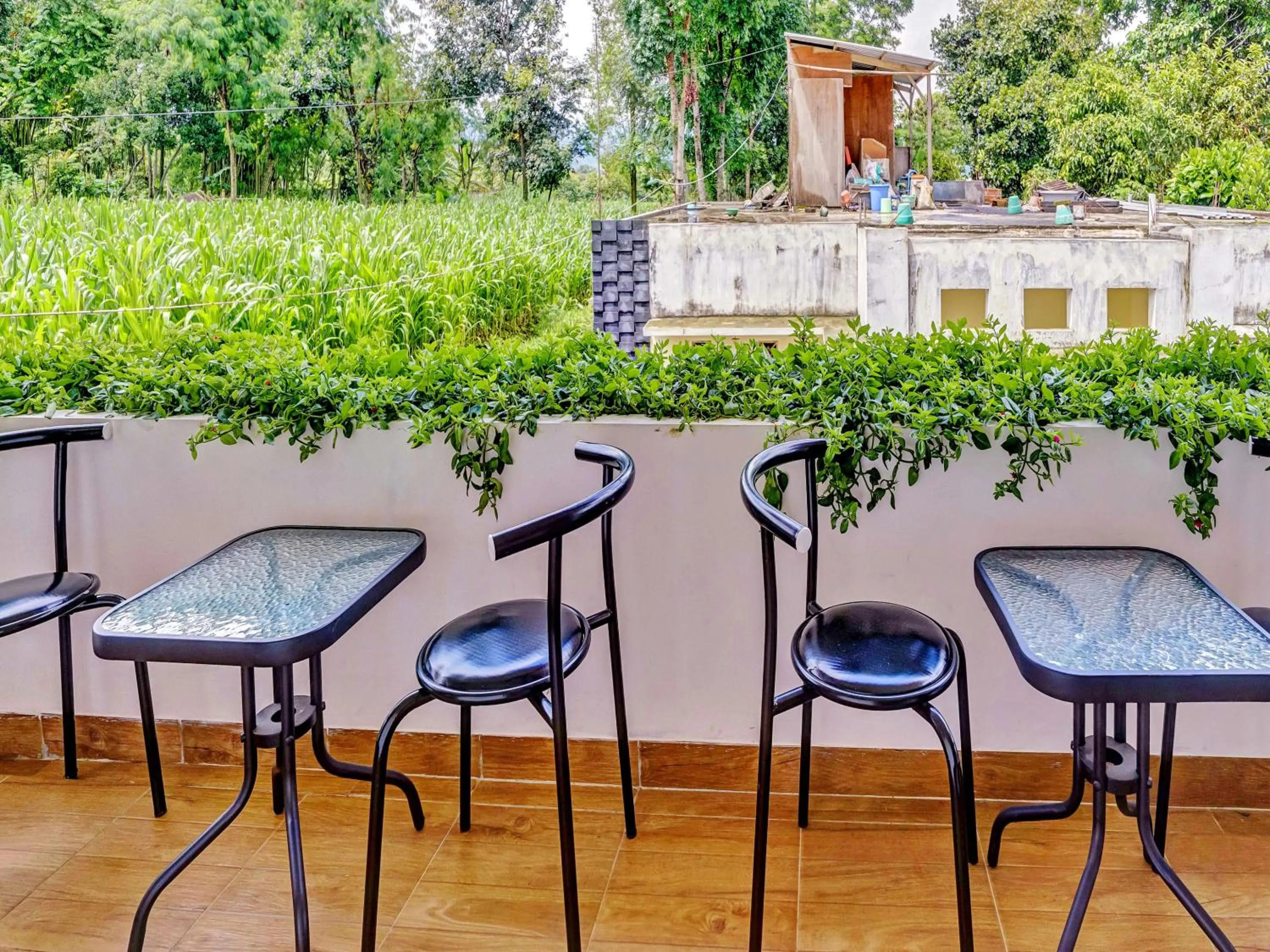 Area and facilities in Hotel O Ara Guest House