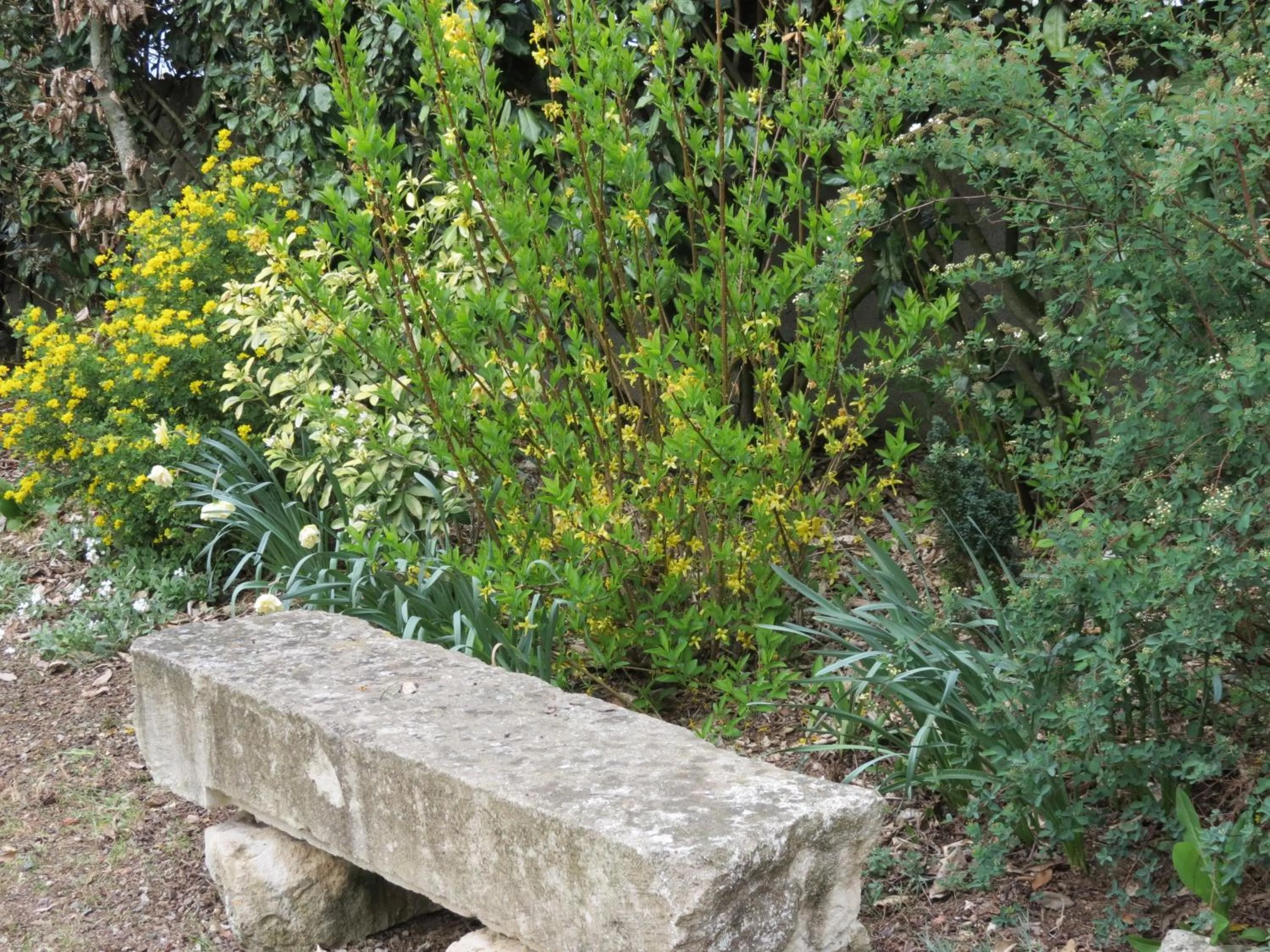 Natural landscape in L'Aubinoise