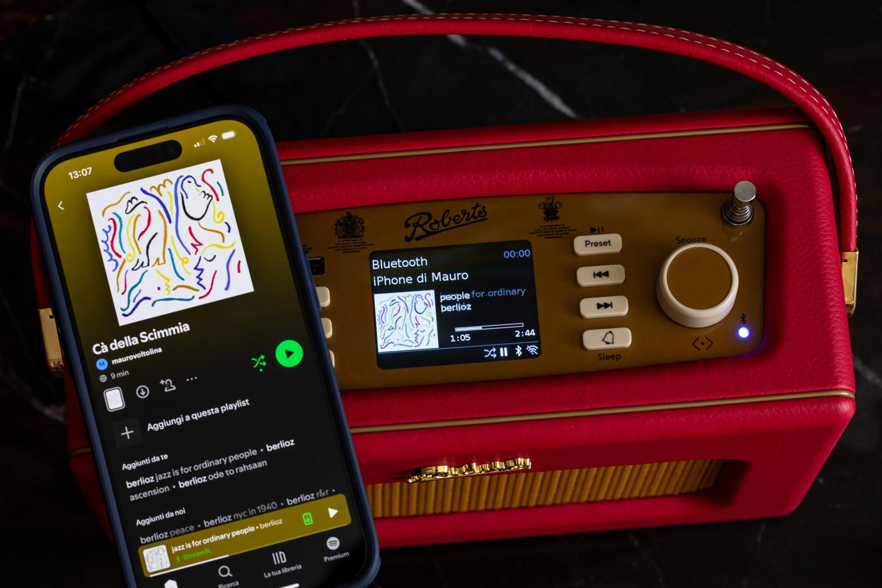 Entertainment in Ca' della Scimmia - Rialto - Venice