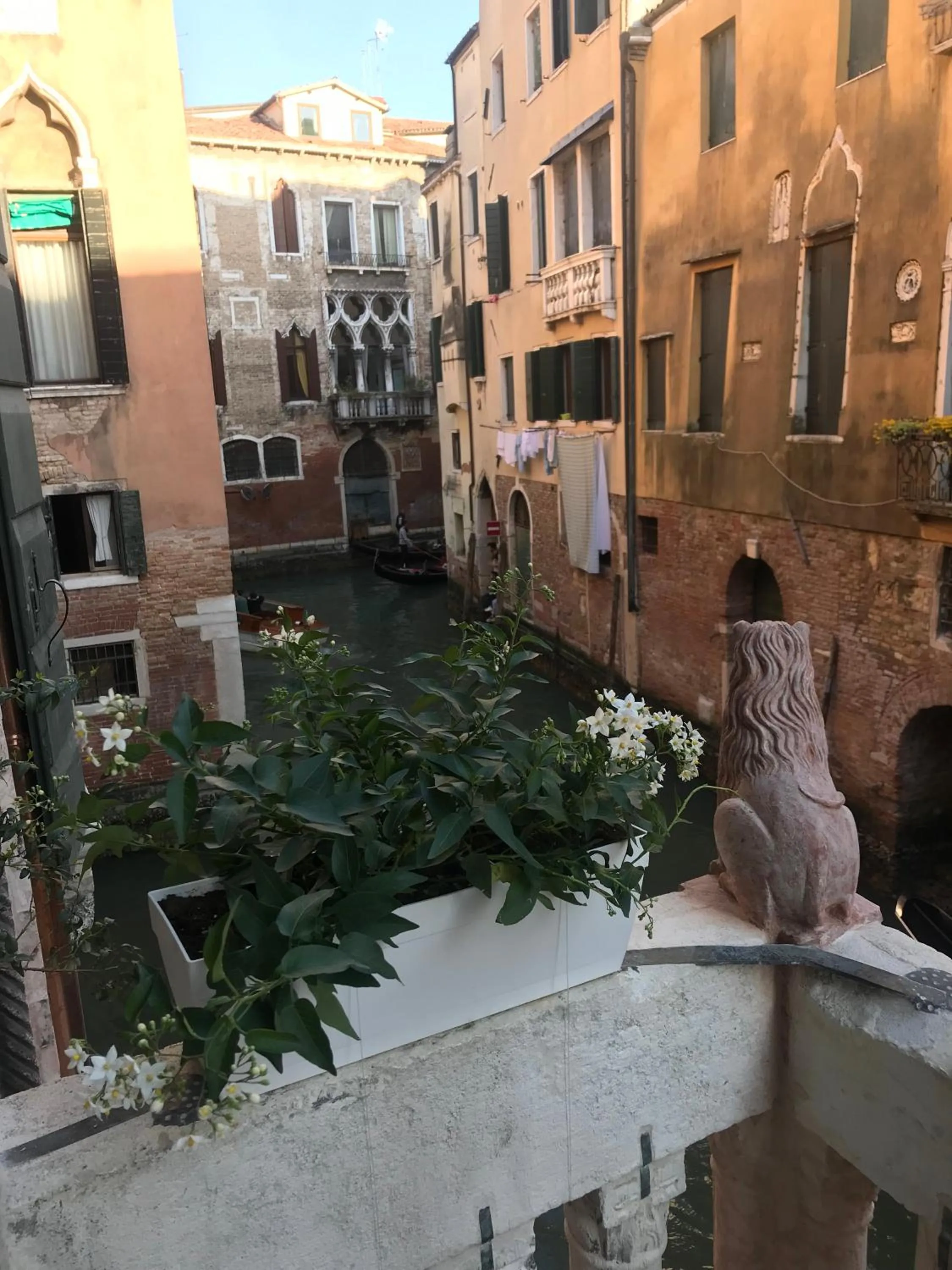 Property building in Ca' Amadi