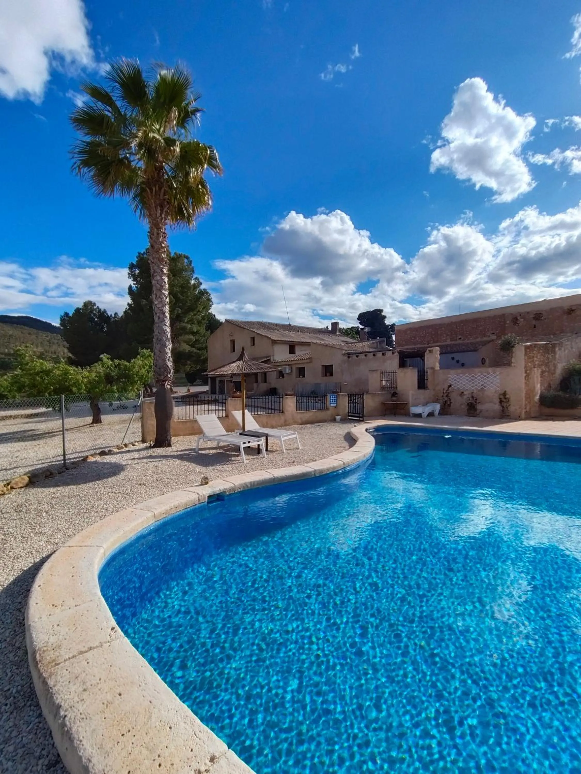 Swimming pool in Finca Guillermo Murcia