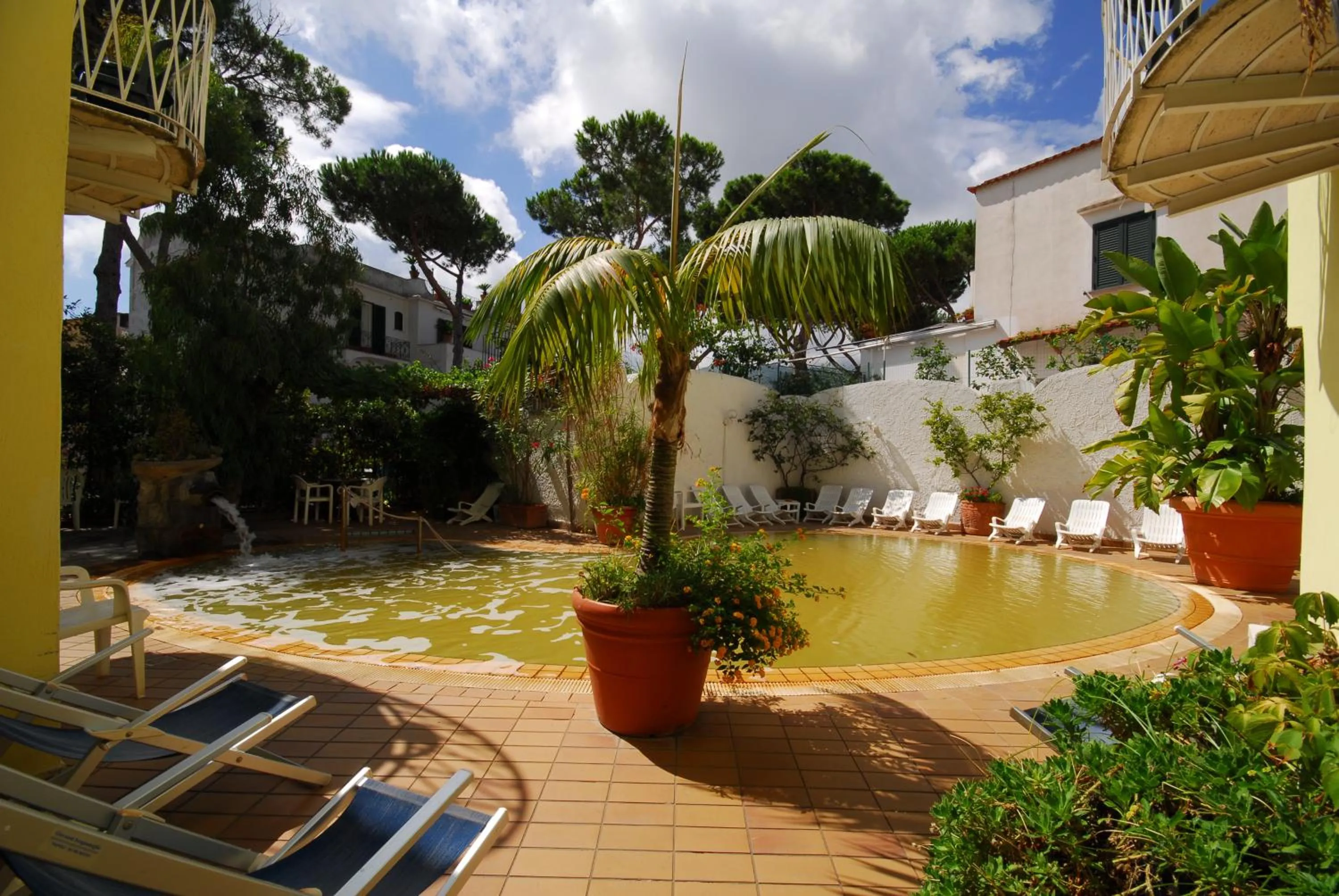 Garden in Hotel Europa