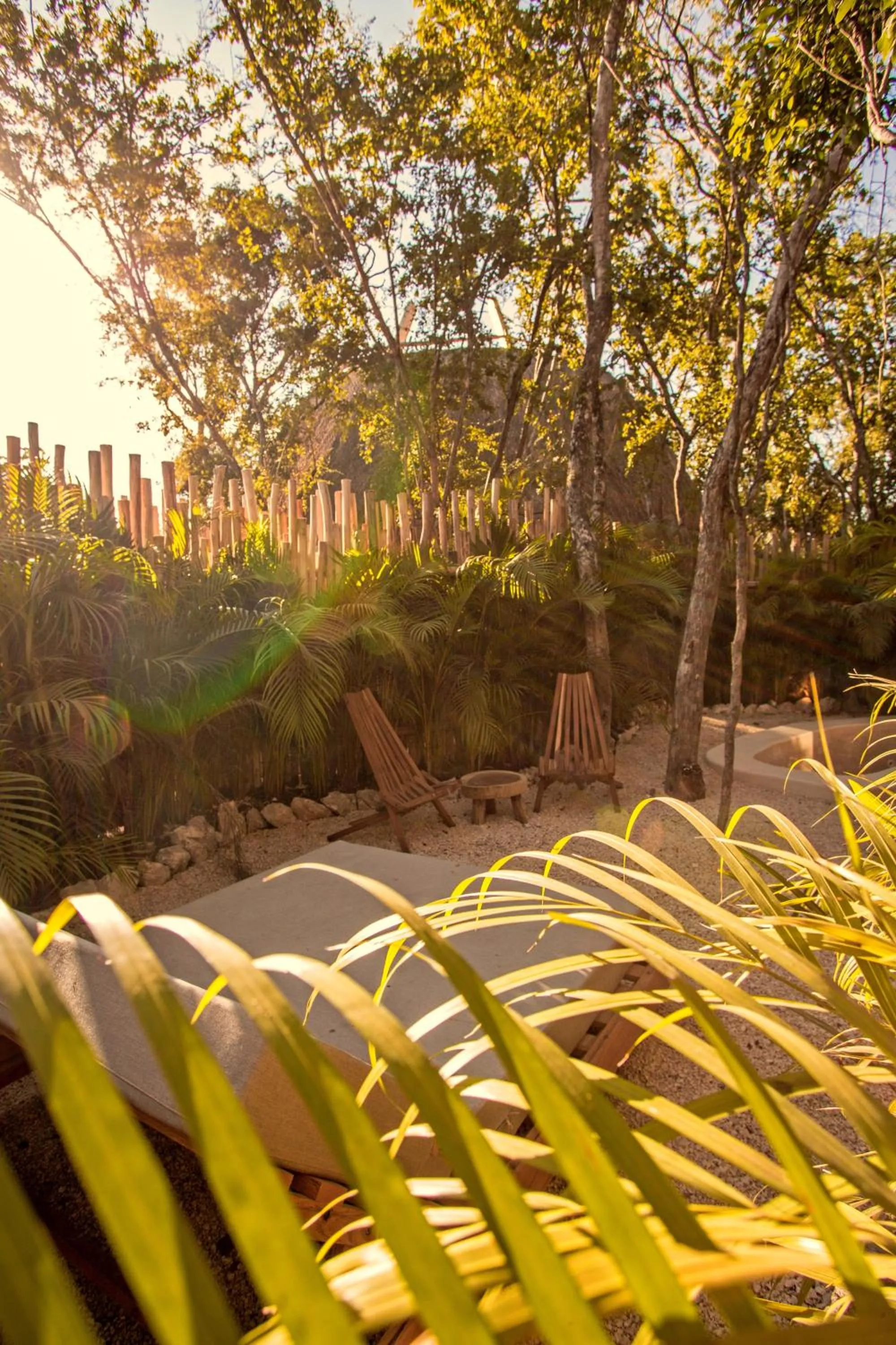 Natural landscape in Hotel Muaré Tulum Wellness and Spa