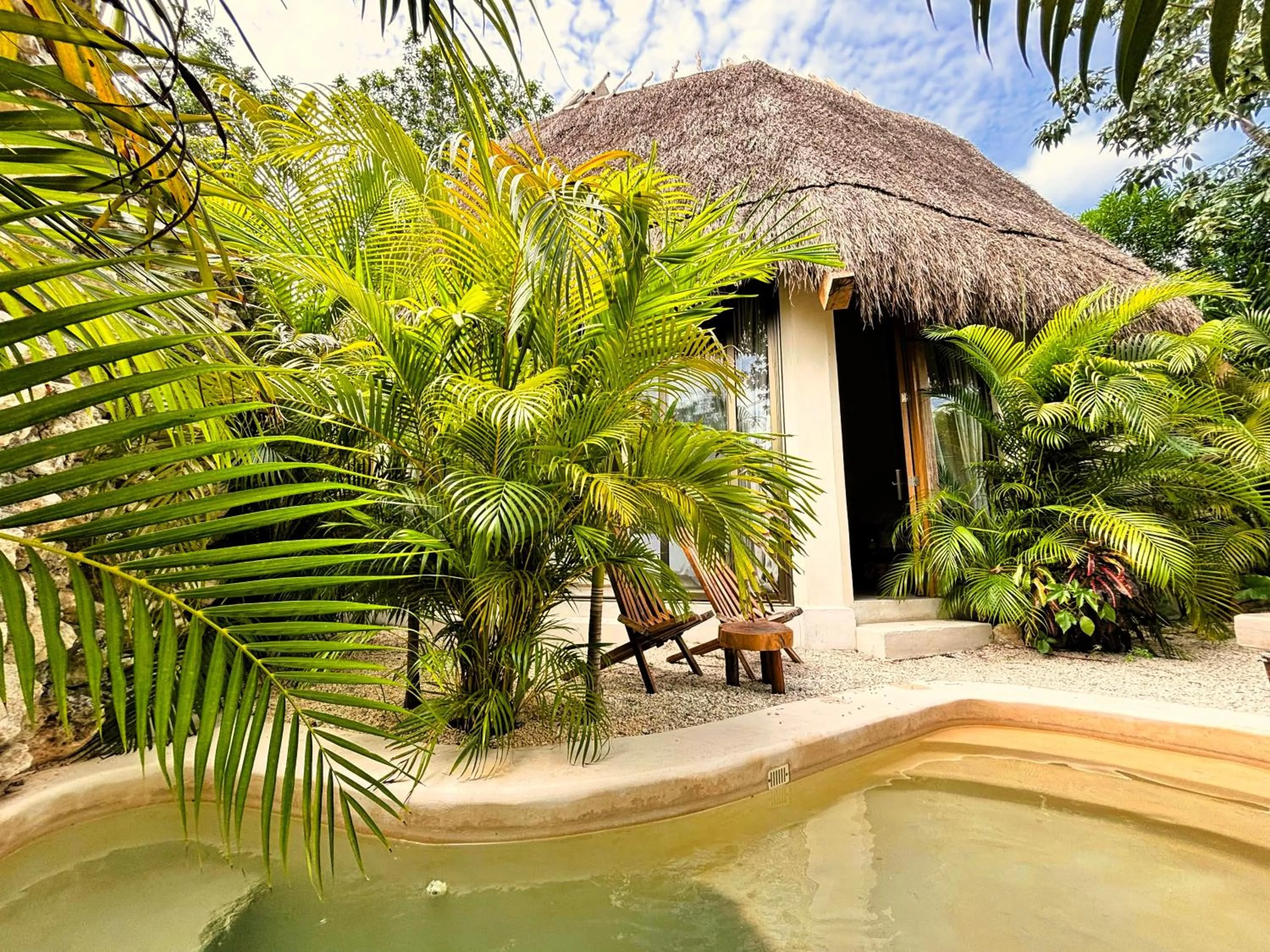 Natural landscape in Hotel Muaré Tulum Wellness and Spa