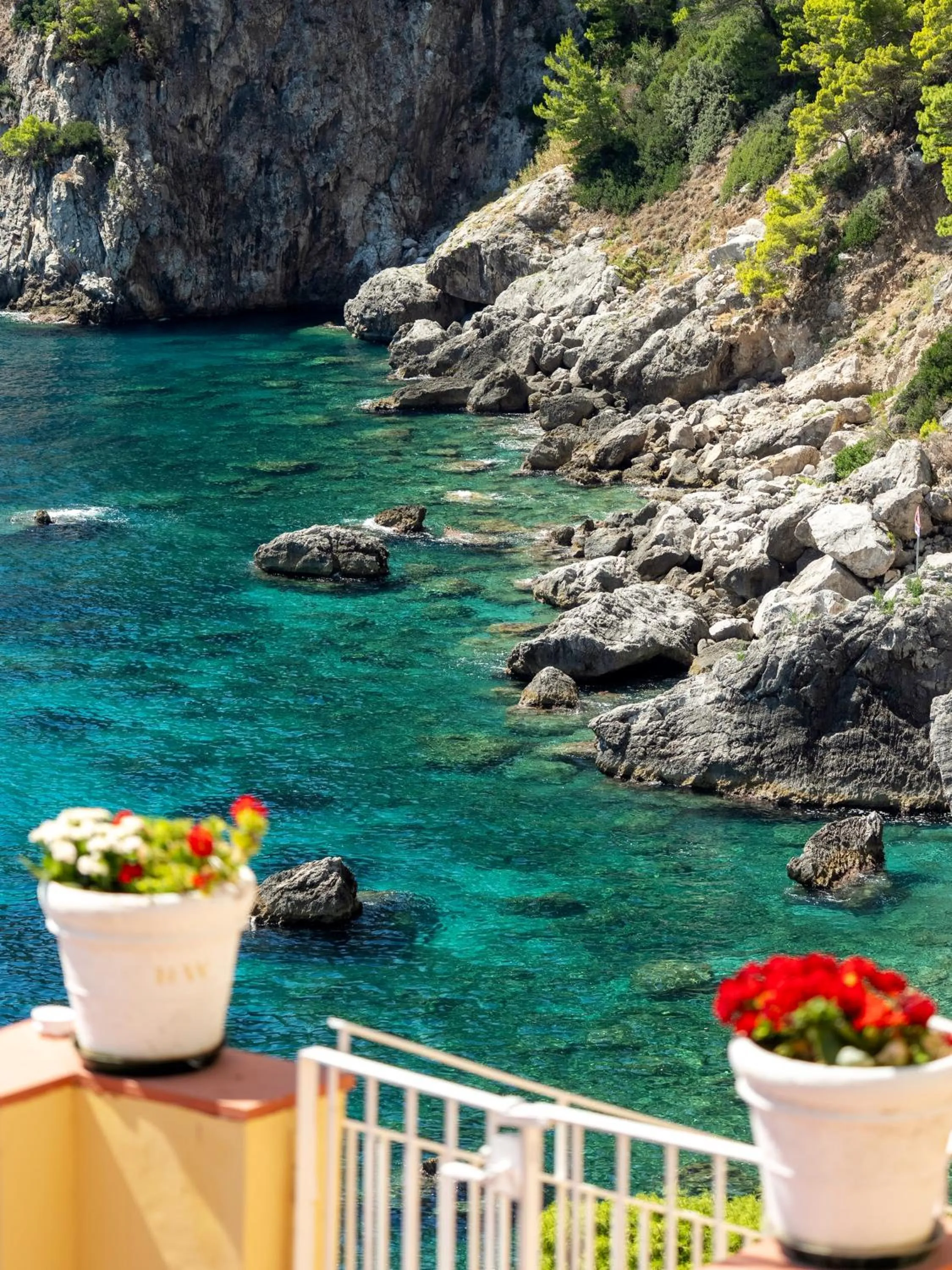 Natural landscape in Hotel Weber Ambassador