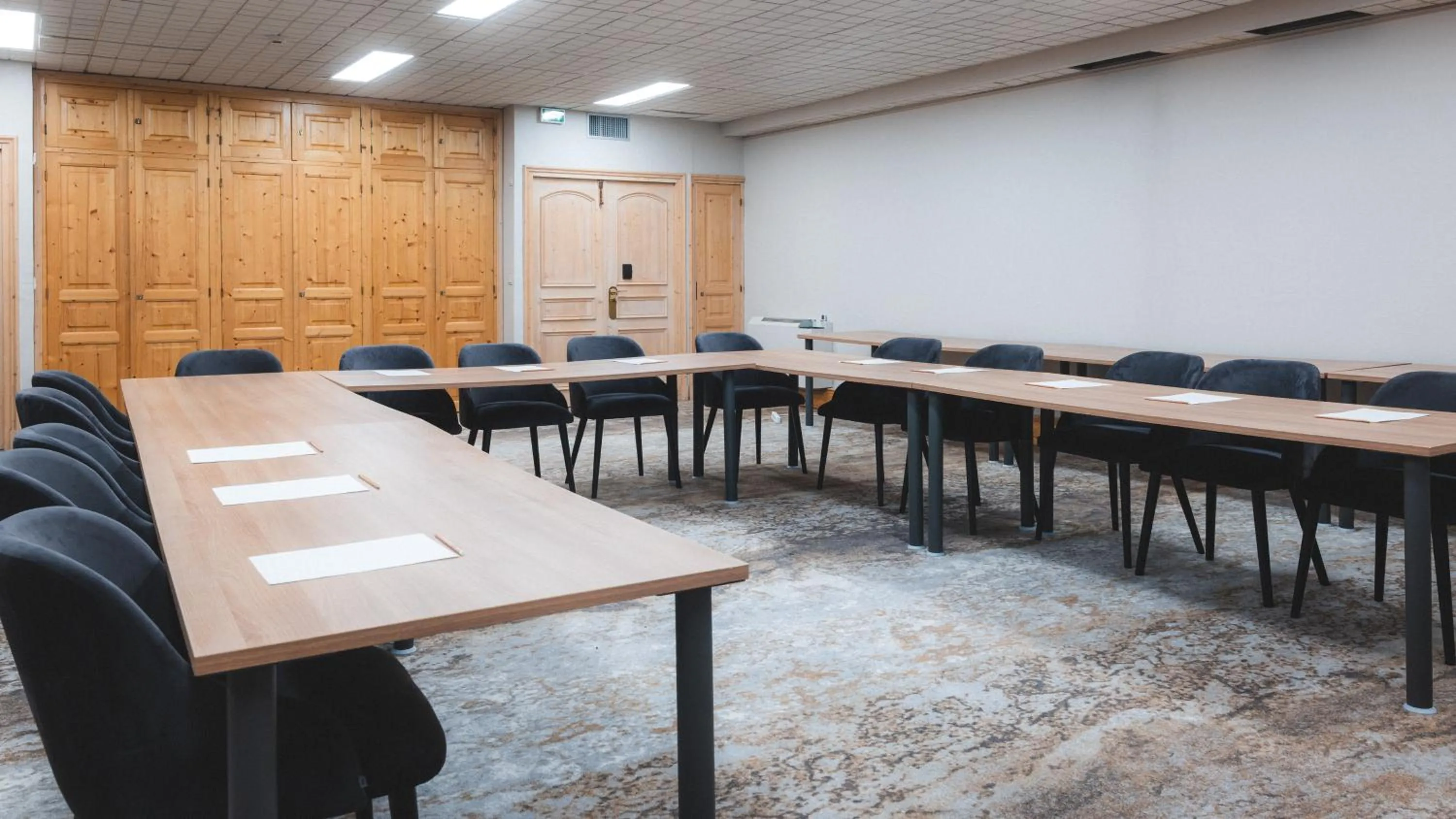 Business facilities in Hotel Carlina