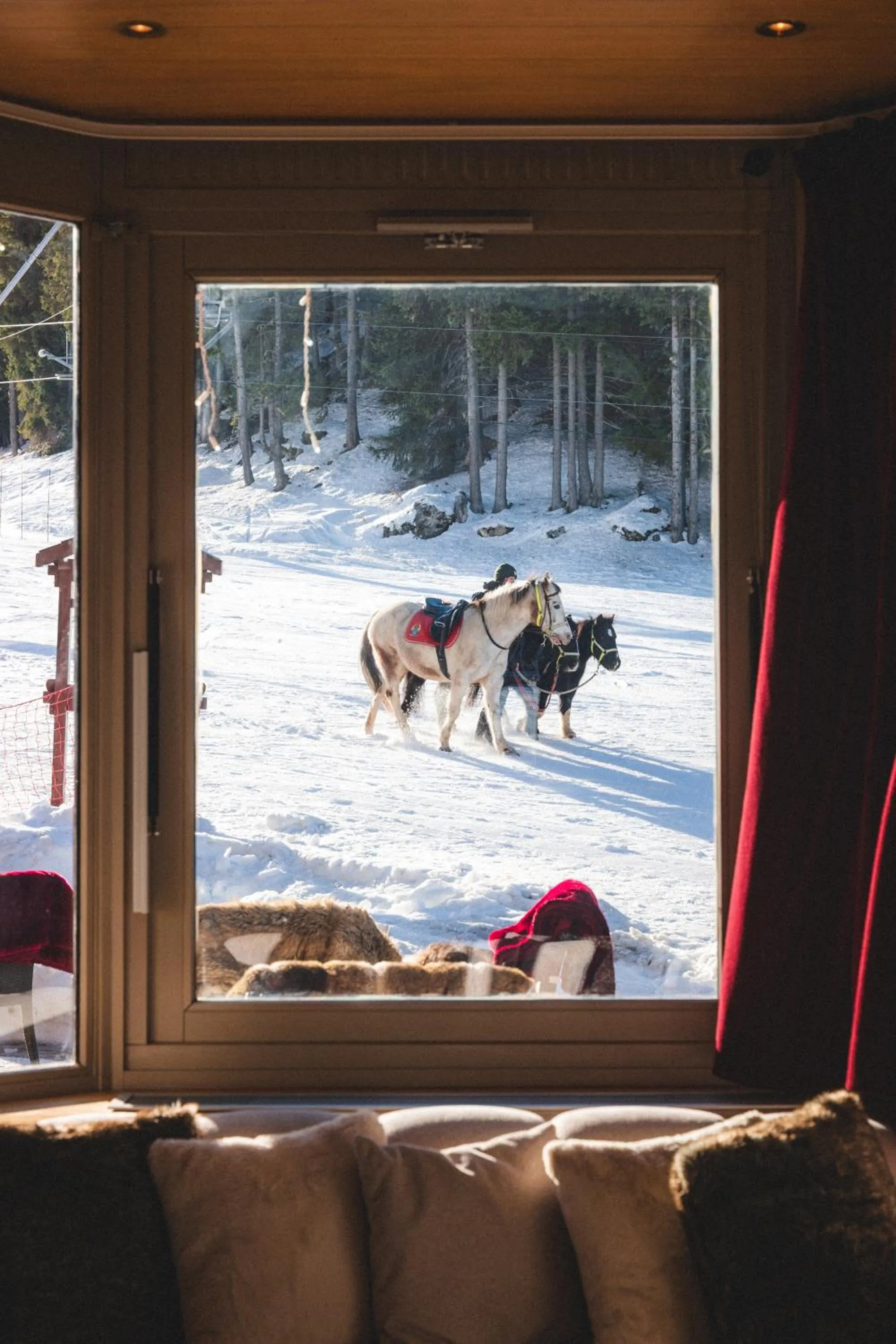 Mountain view in Hotel Carlina