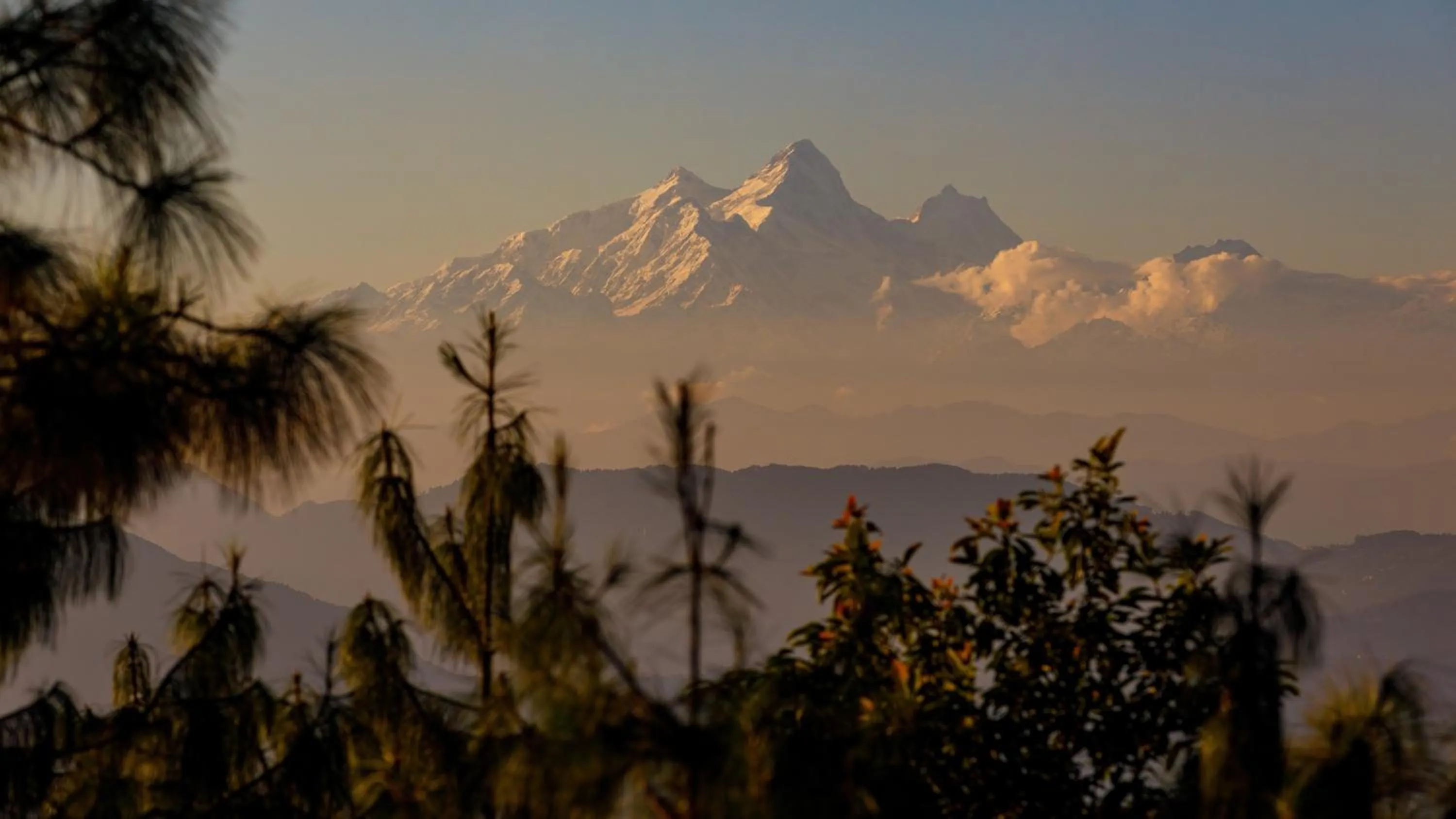 Natural landscape in The Terraces Resort and Spa