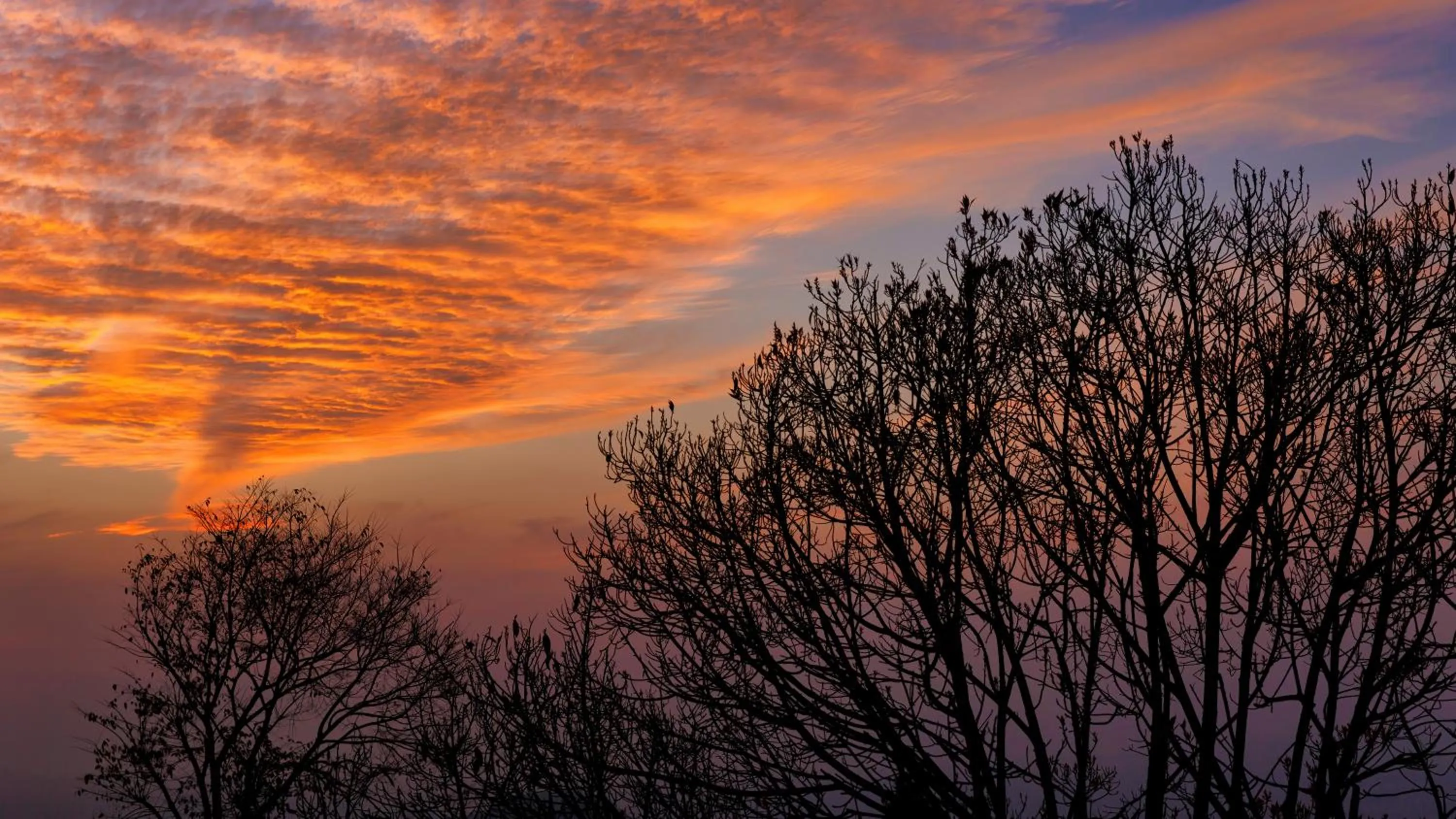 Natural landscape in The Terraces Resort and Spa