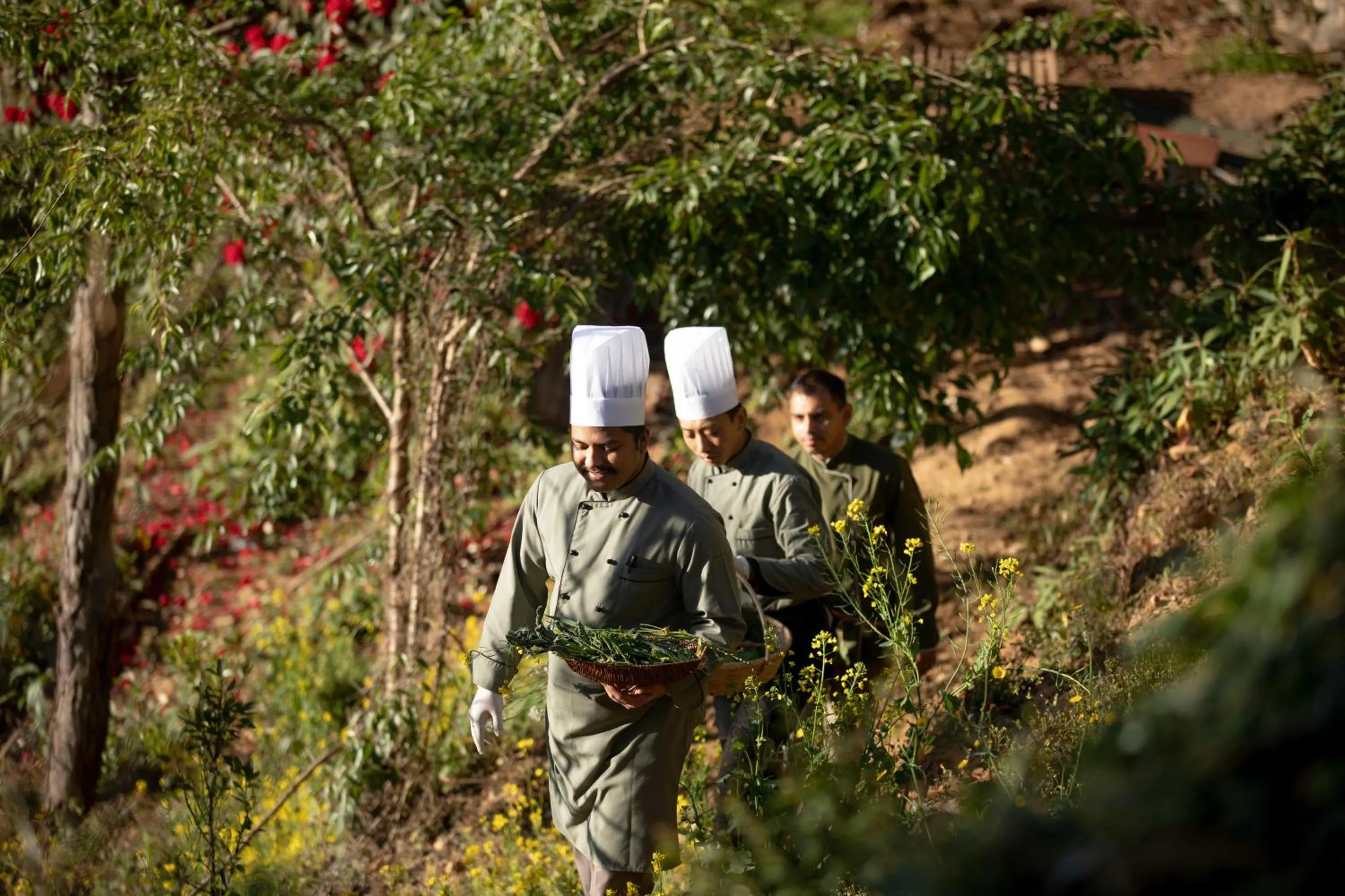 Staff in The Terraces Resort and Spa