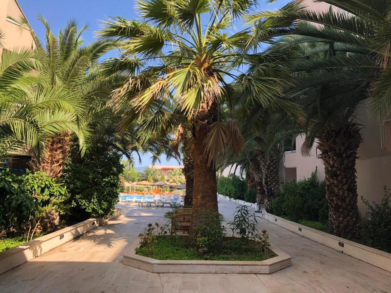 Garden in AFYTOS ÖREN PARK MTK