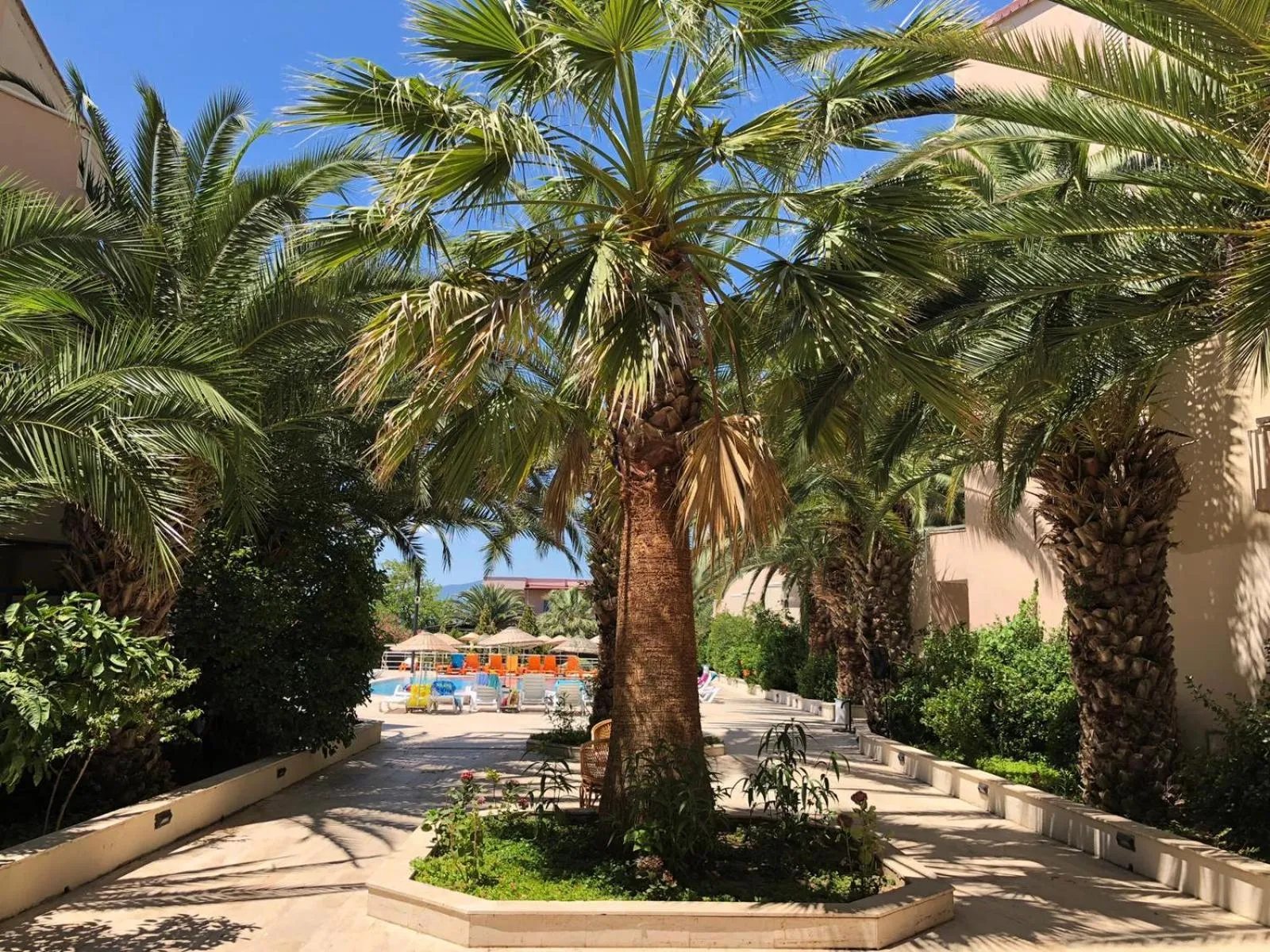 Garden in AFYTOS ÖREN PARK MTK