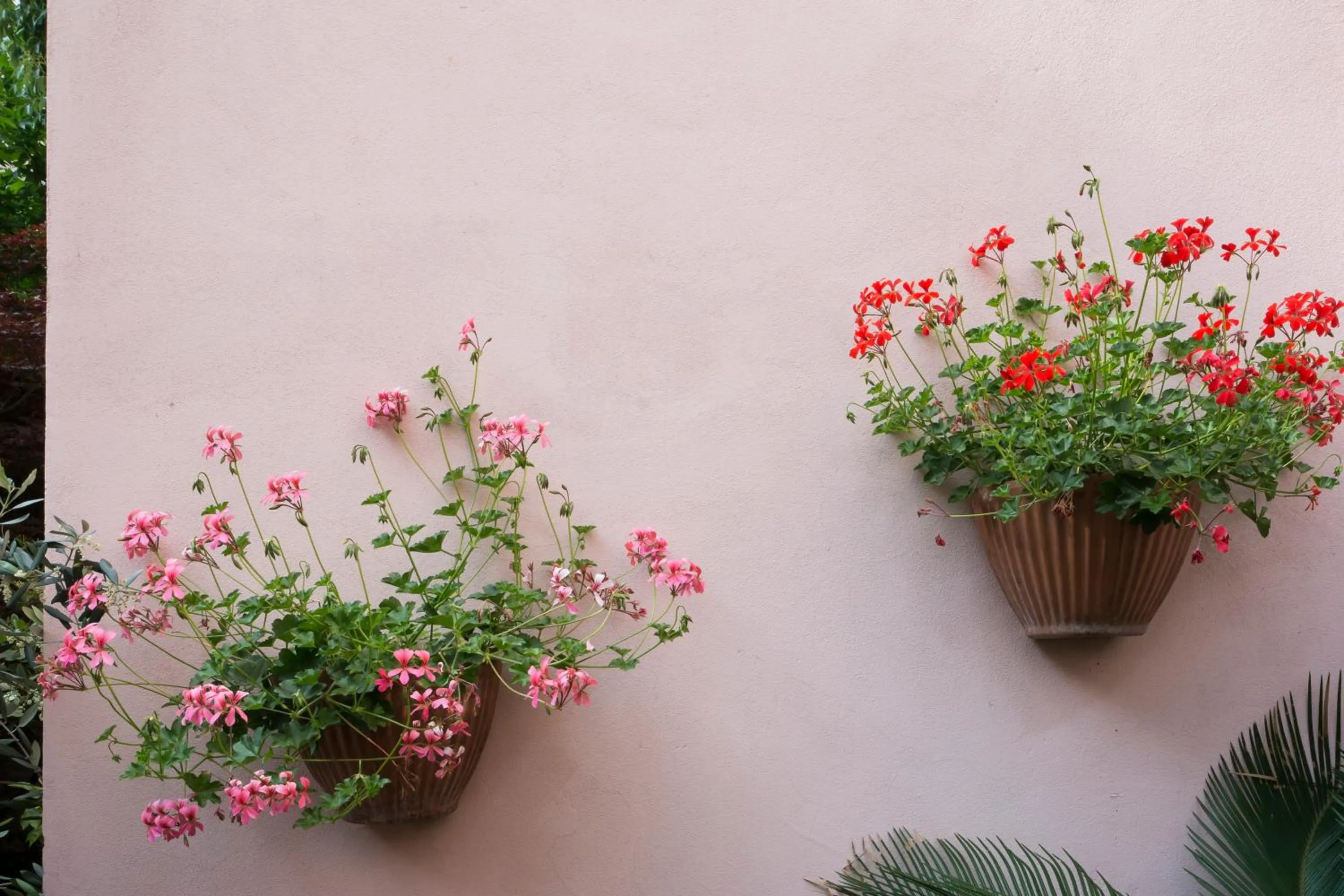 Spring in Hotel Vittoria