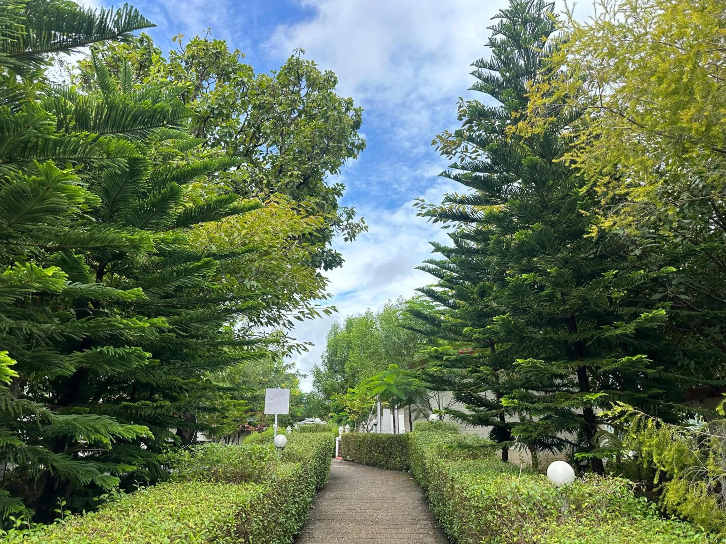 Natural landscape in The HighGarden Resort