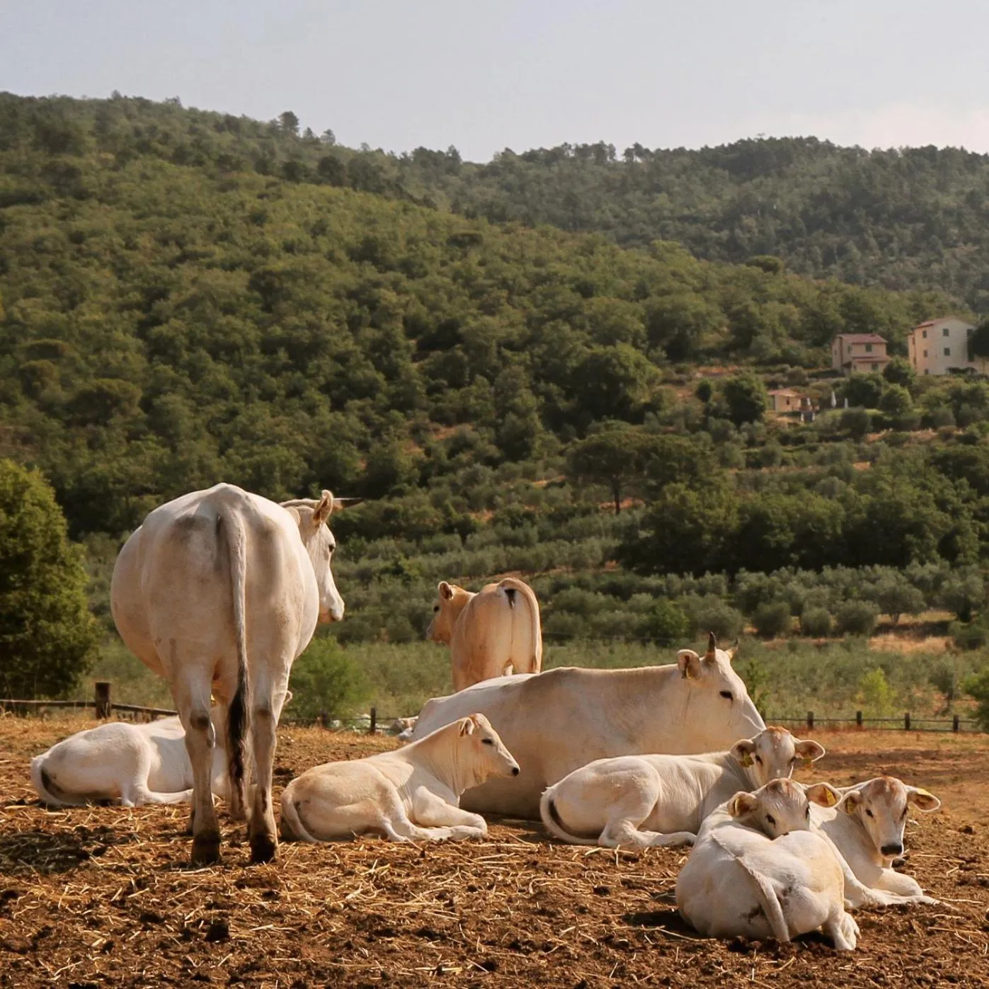 Il Borro Relais & Châteaux