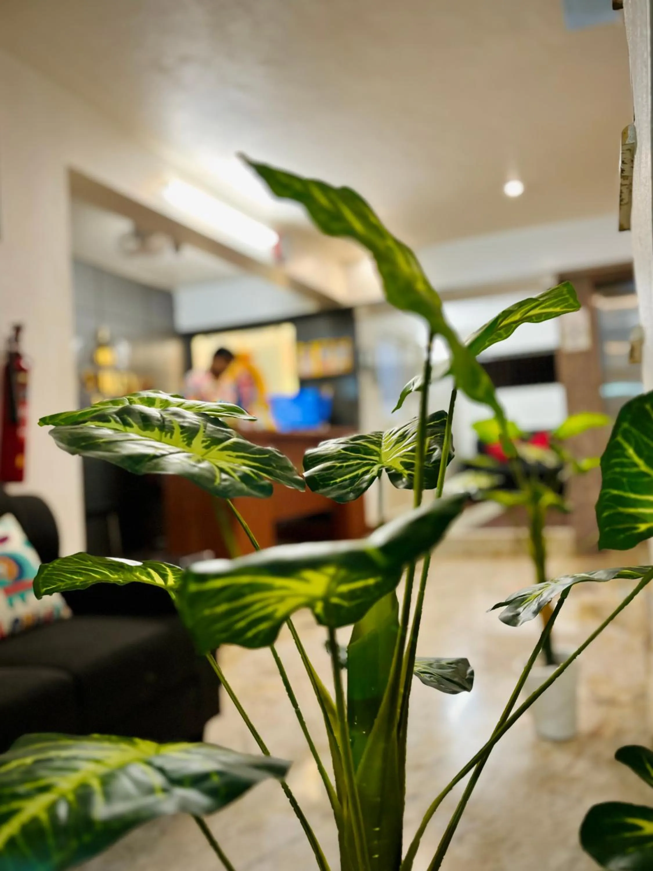 Facade/entrance in Sai Shreyas Residency, Boutique Hotel near Bangalore Airport