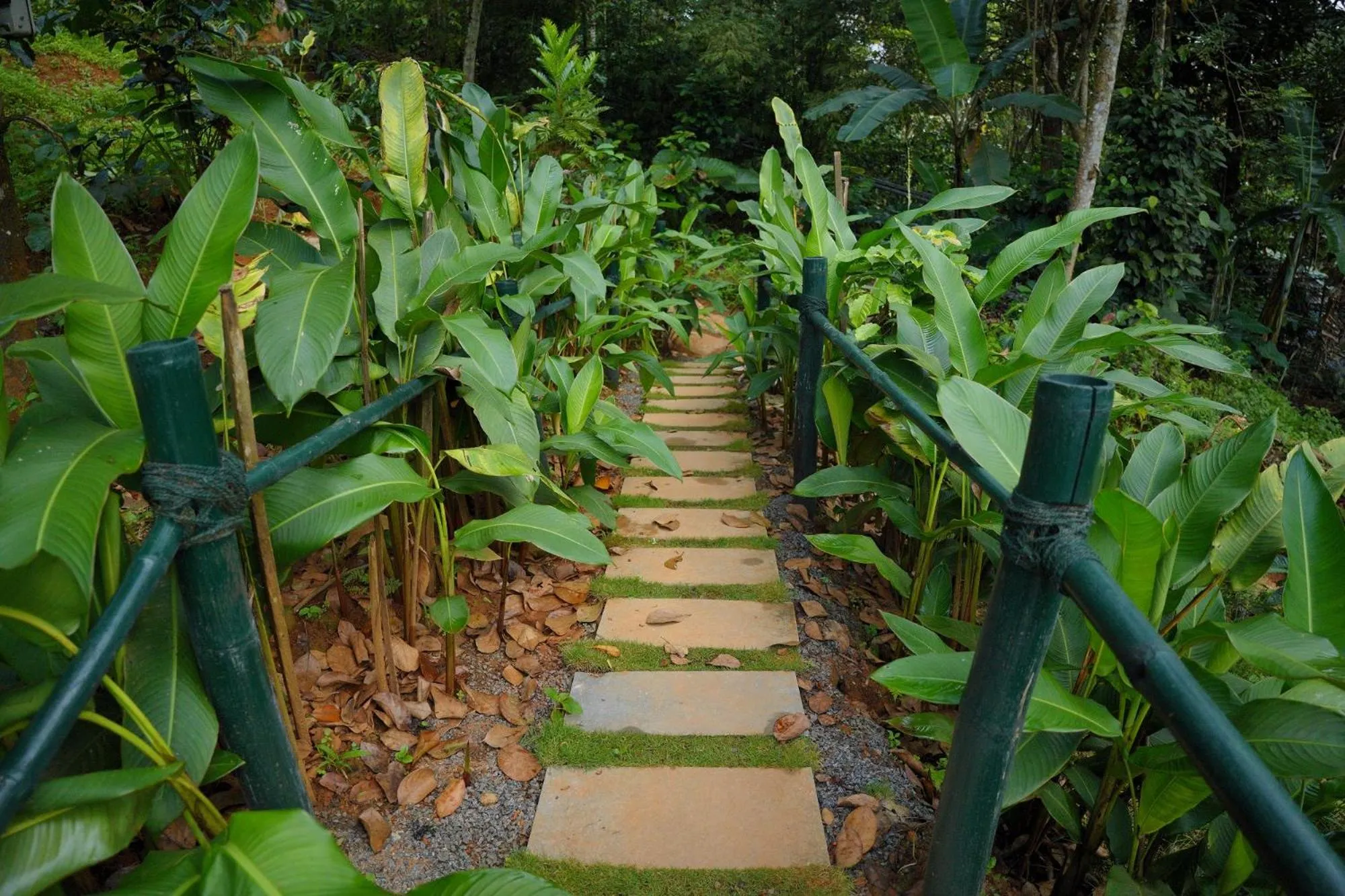 Restaurant/places to eat in Aalterra Resort - formerly Ananterra Resort