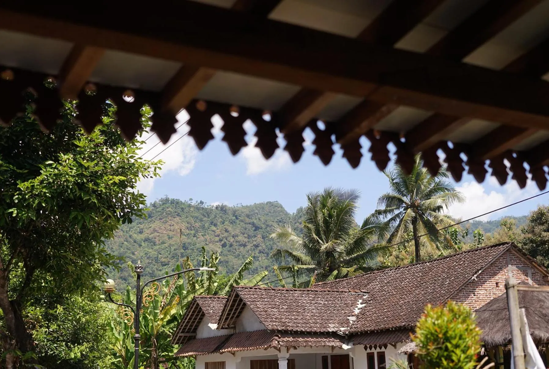 Mountain view in Penginapan Homestay Mudiyono Syari'ah