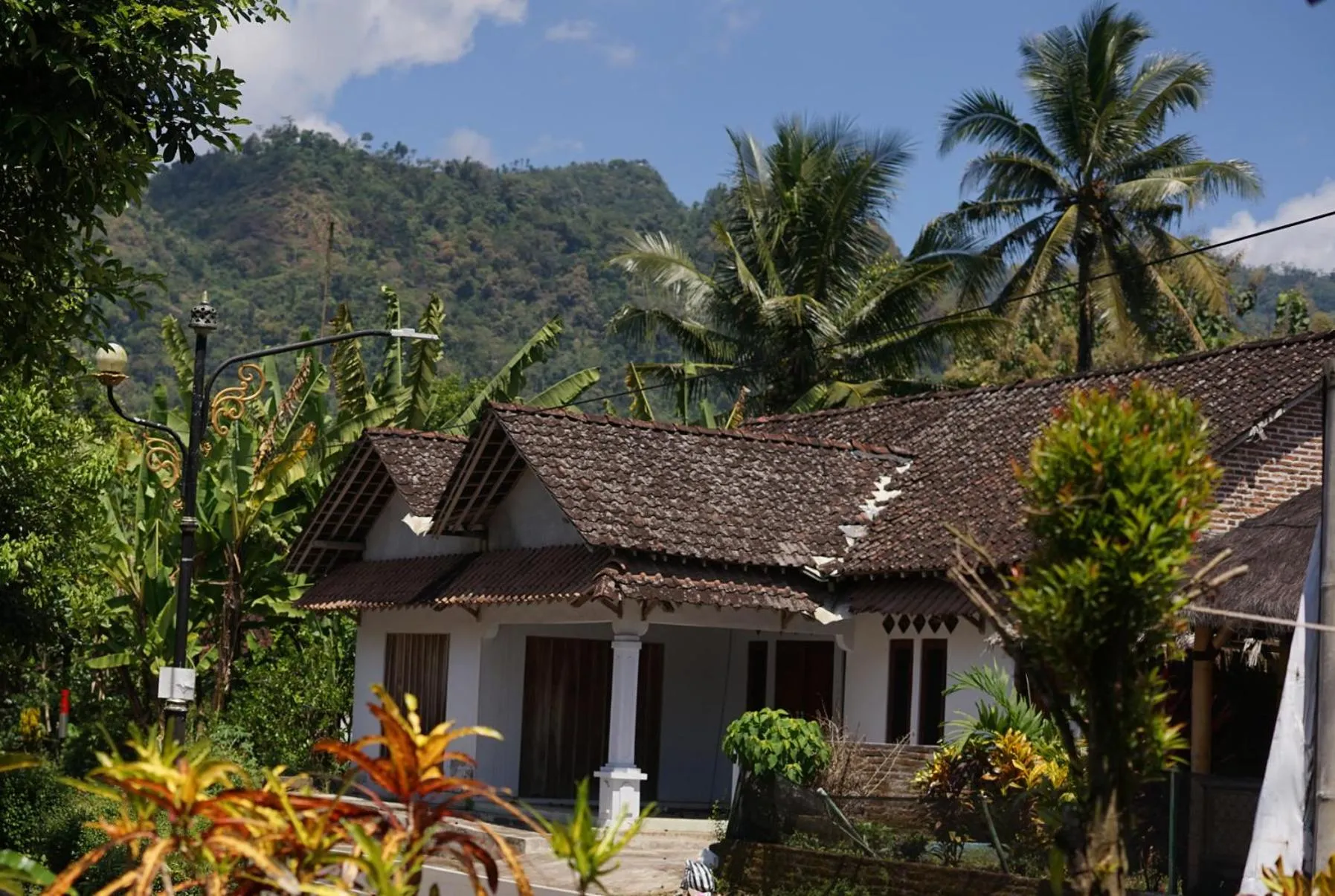 View (from property/room) in Penginapan Homestay Mudiyono Syari'ah