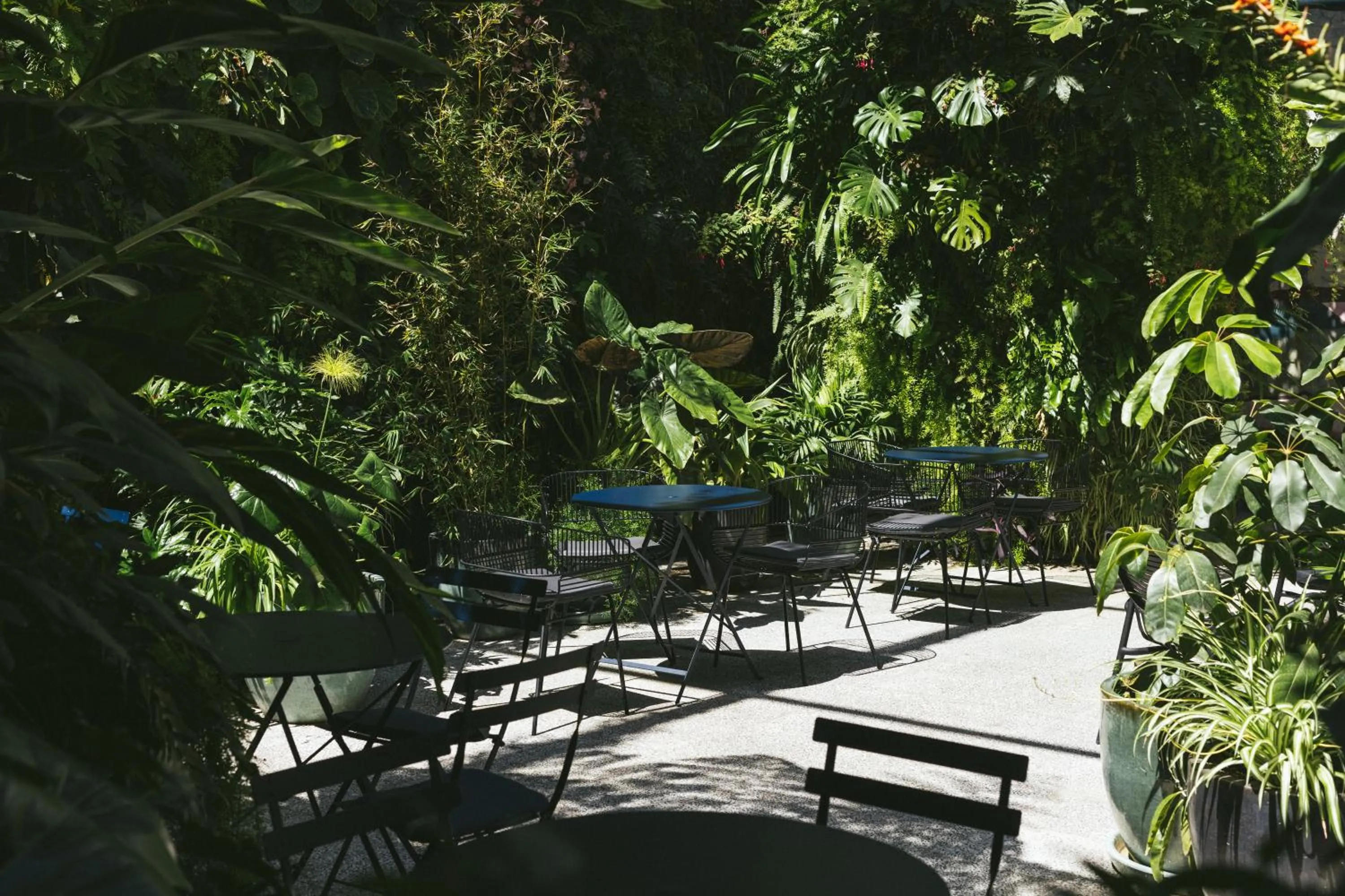 Restaurant/places to eat in Hotel Hotel - Member of Design Hotels