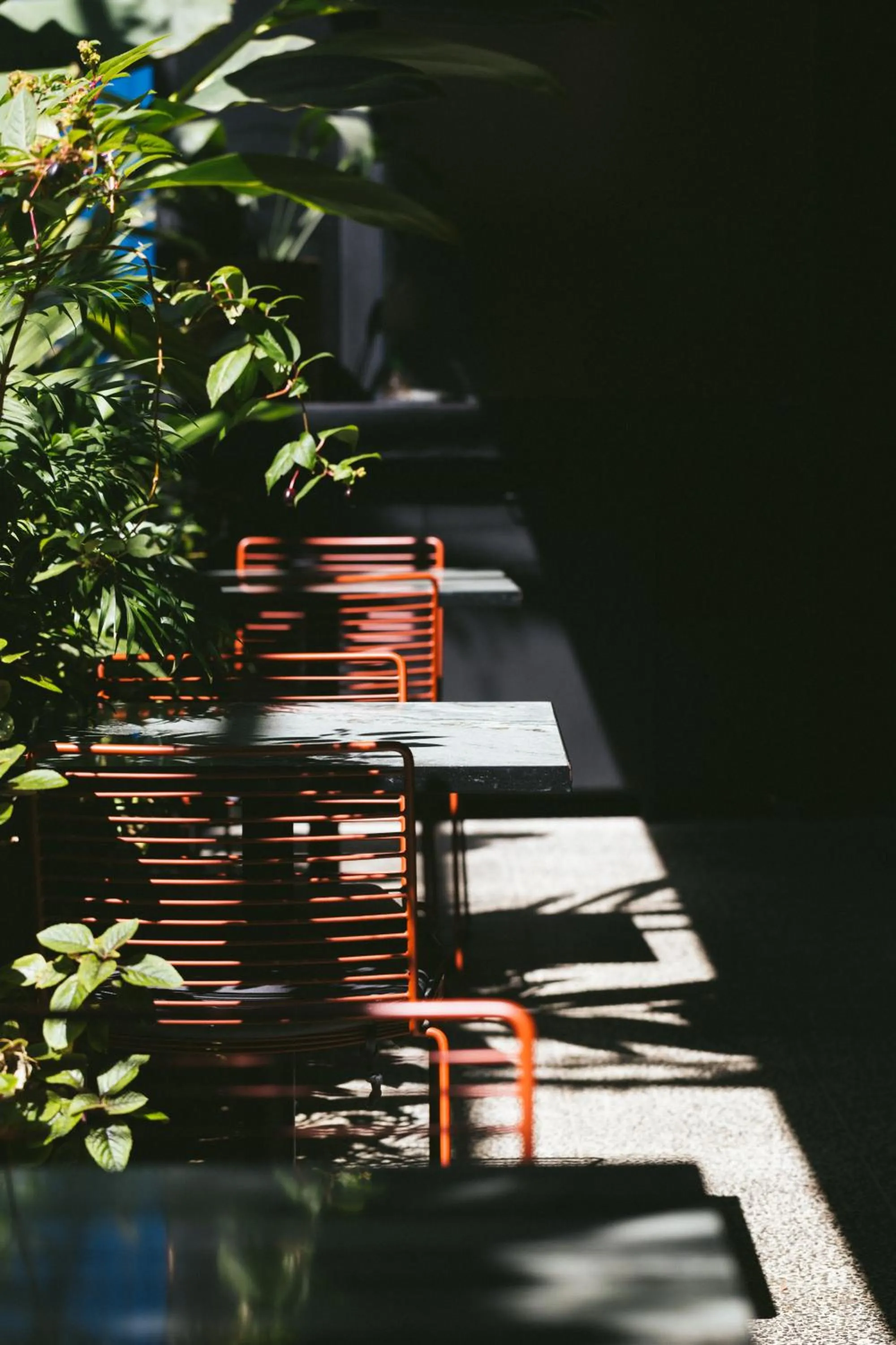 Restaurant/places to eat in Hotel Hotel - Member of Design Hotels