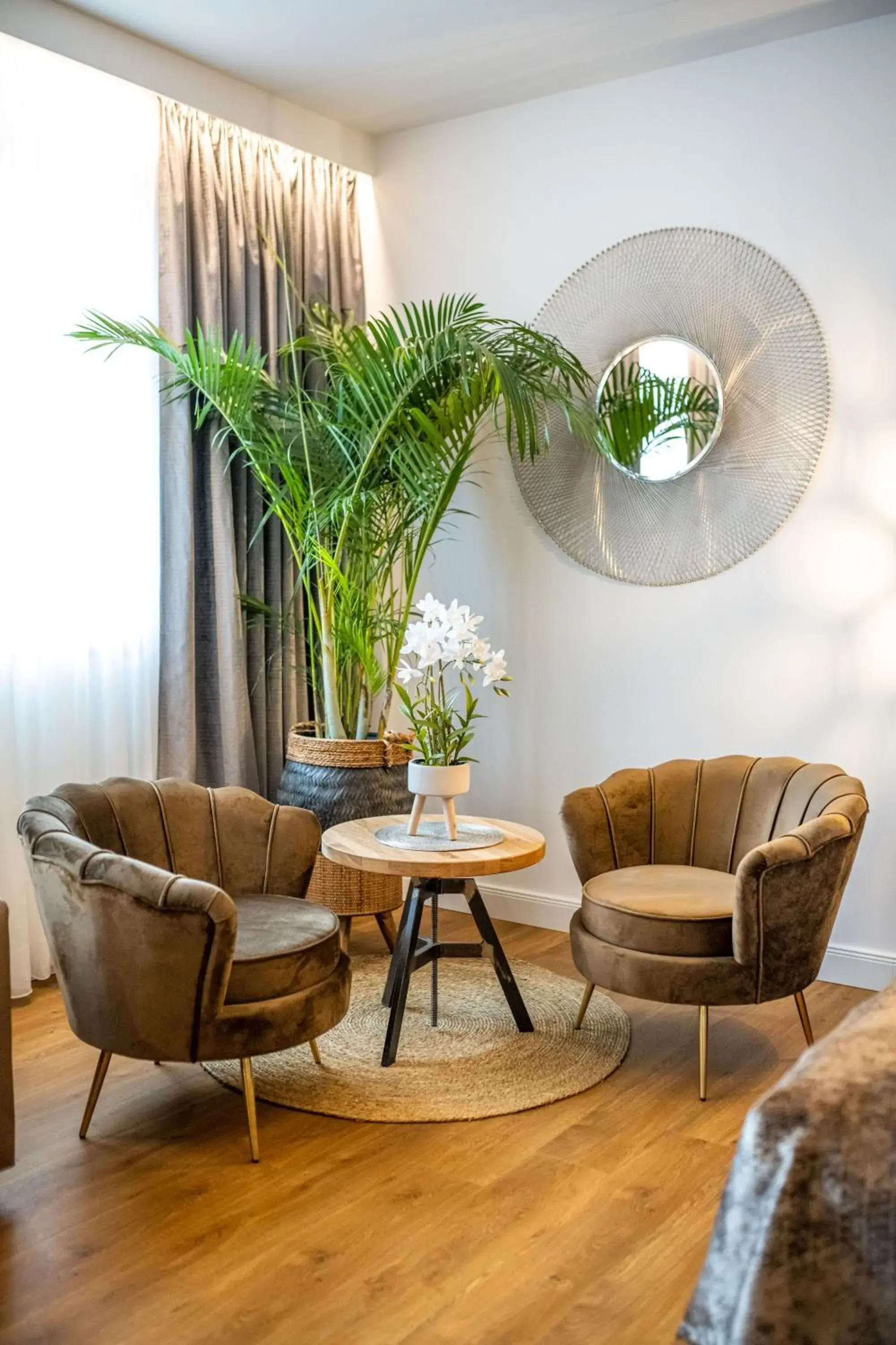 Deluxe Suite - single occupancy in Boutique Hotel Melchers Deluxe Suite - single occupancy in Boutique Hotel Melchers